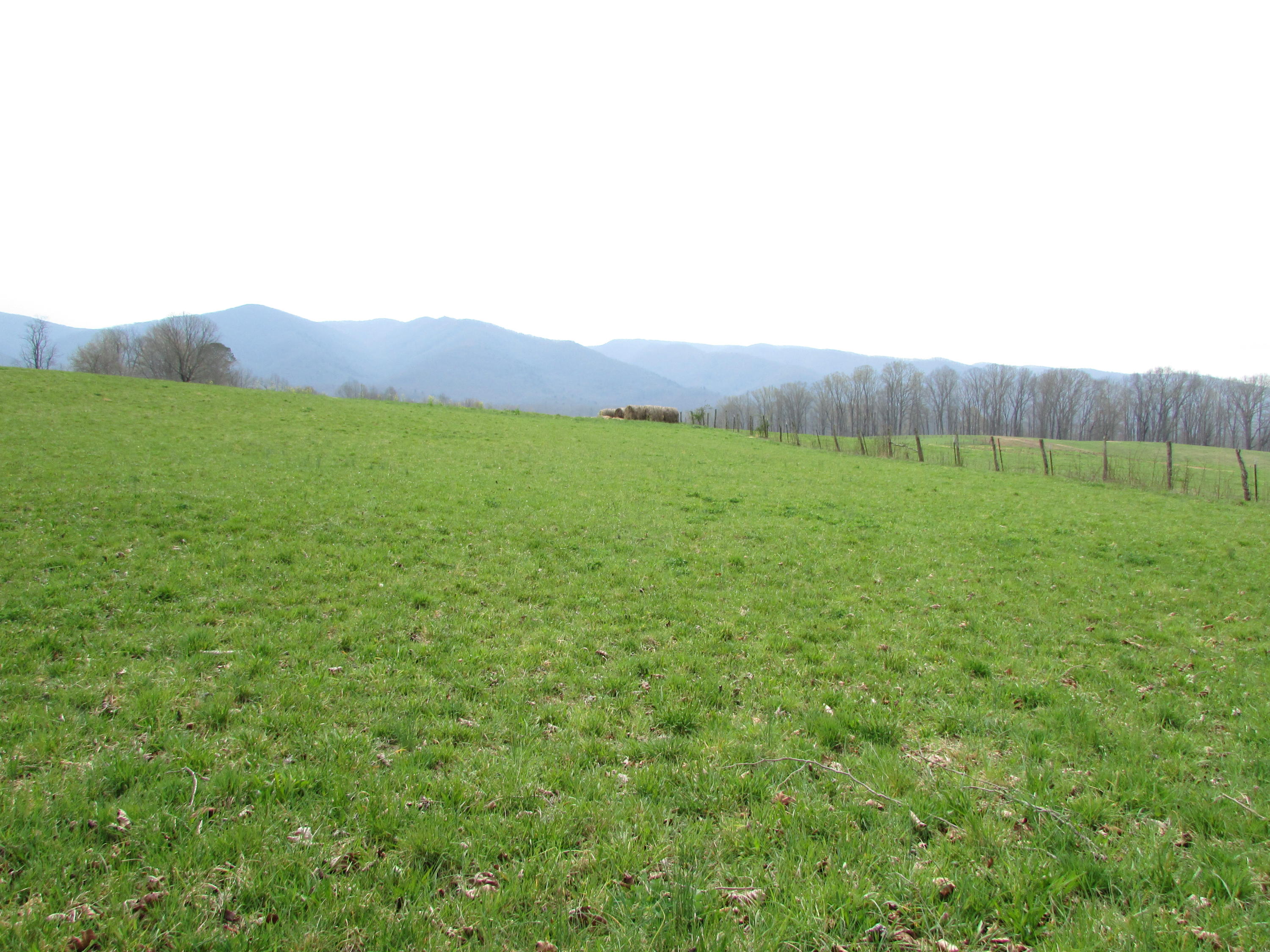 Cole Hollow Road Elizabethton TN 37643 (