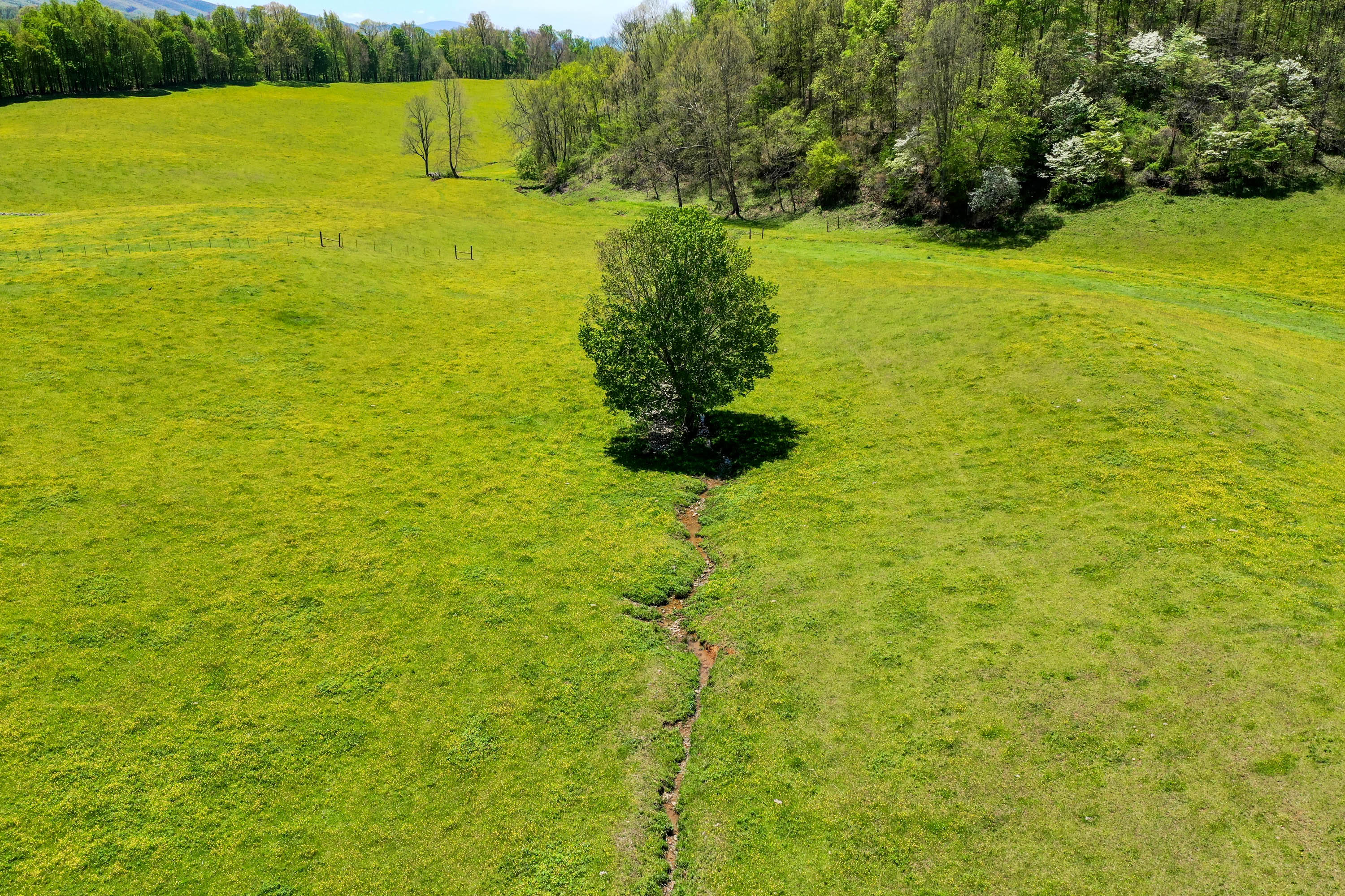 Tbd Cole Hollow Road Elizabethton, TN 37643 - Photo 21 of 57 Cole Hollow Rd-11