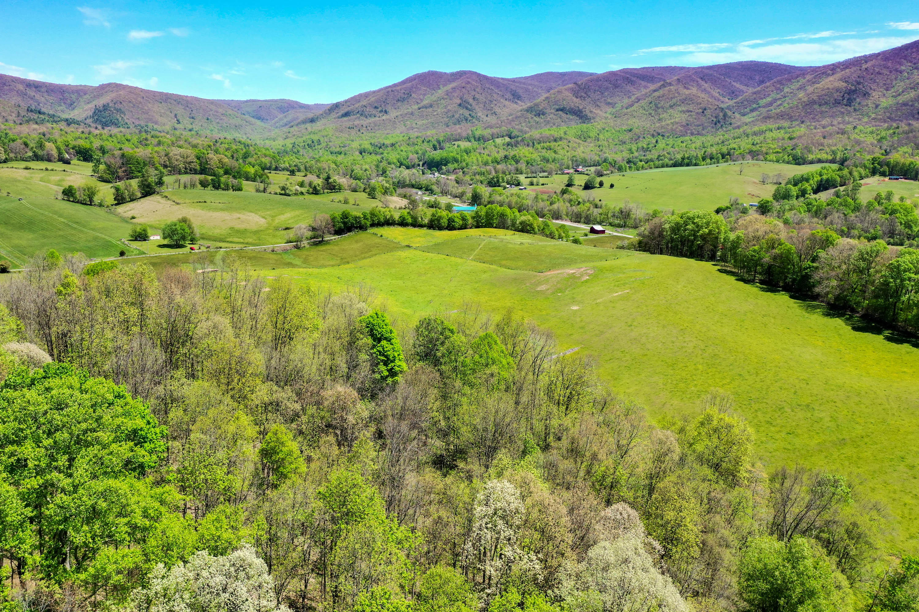 Tbd Cole Hollow Road Elizabethton, TN 37643 - Photo 23 of 57 Cole Hollow Rd-17