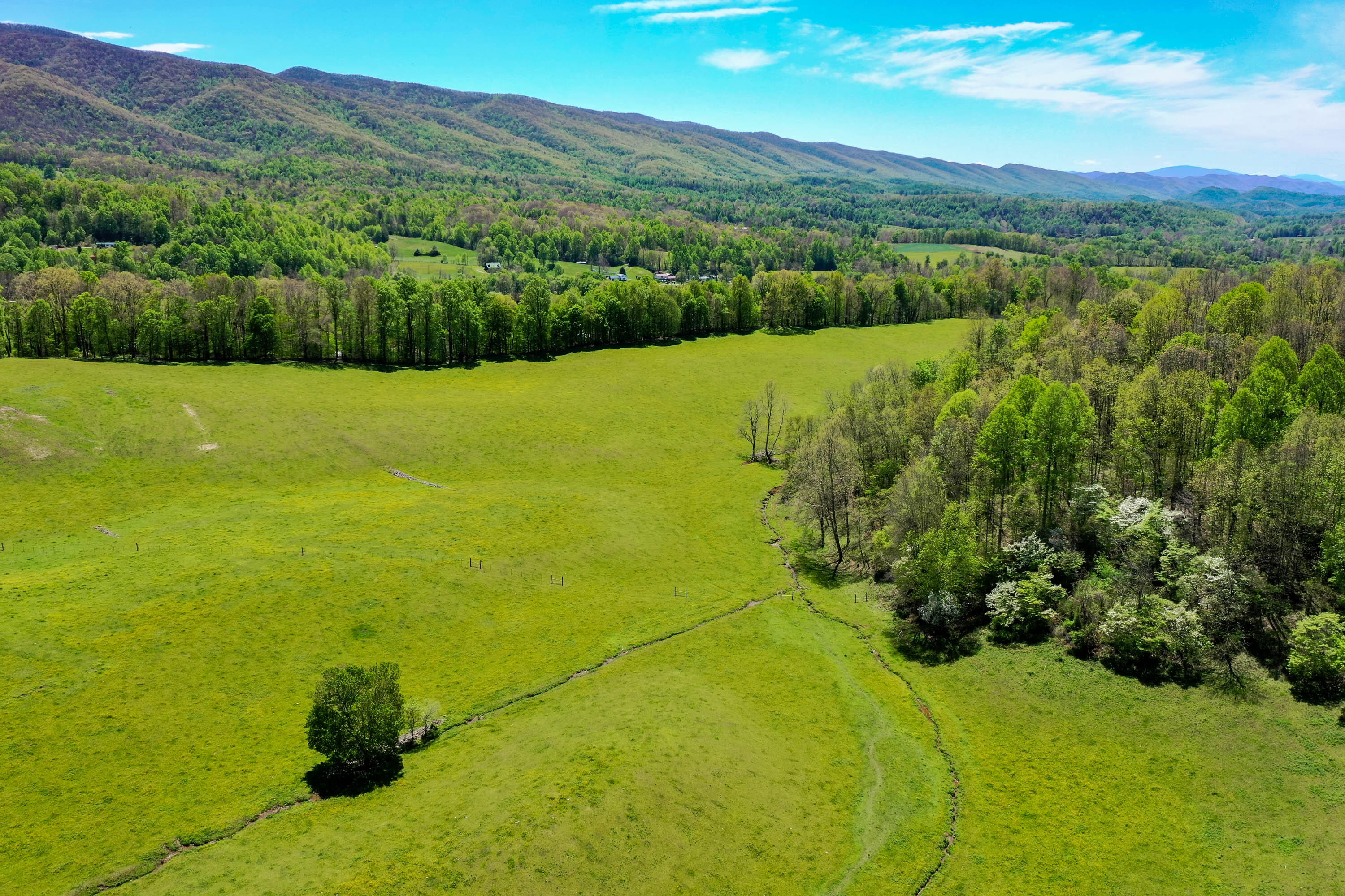 Tbd Cole Hollow Road Elizabethton, TN 37643 - Photo 26 of 57 Cole Hollow Rd-13