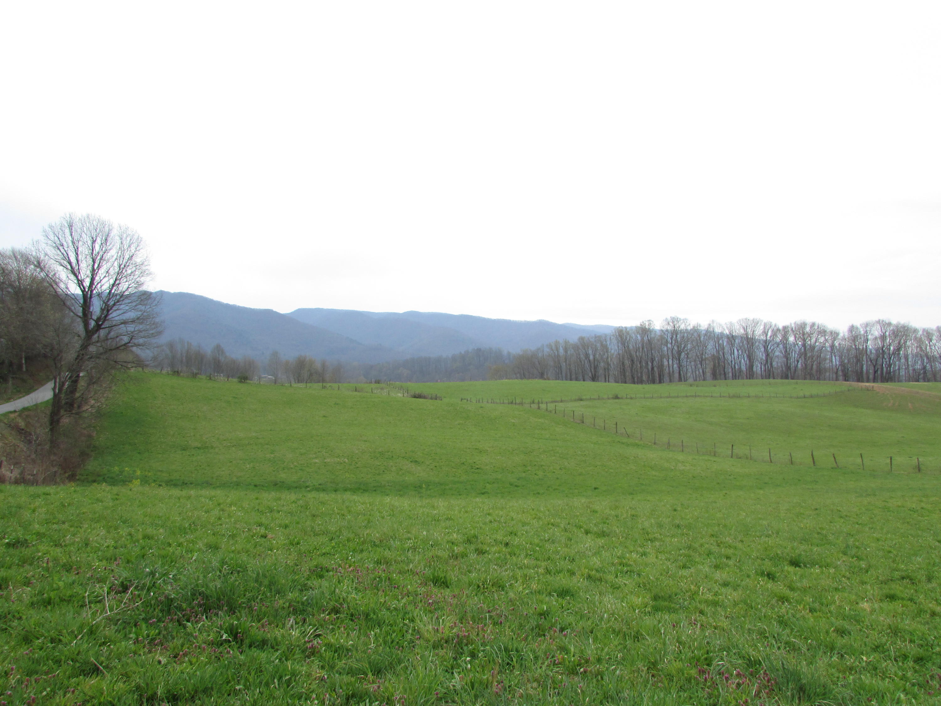 Tbd Cole Hollow Road Elizabethton, TN 37643 - Photo 27 of 57 Cole Hollow Road Elizabethton TN 37643 (