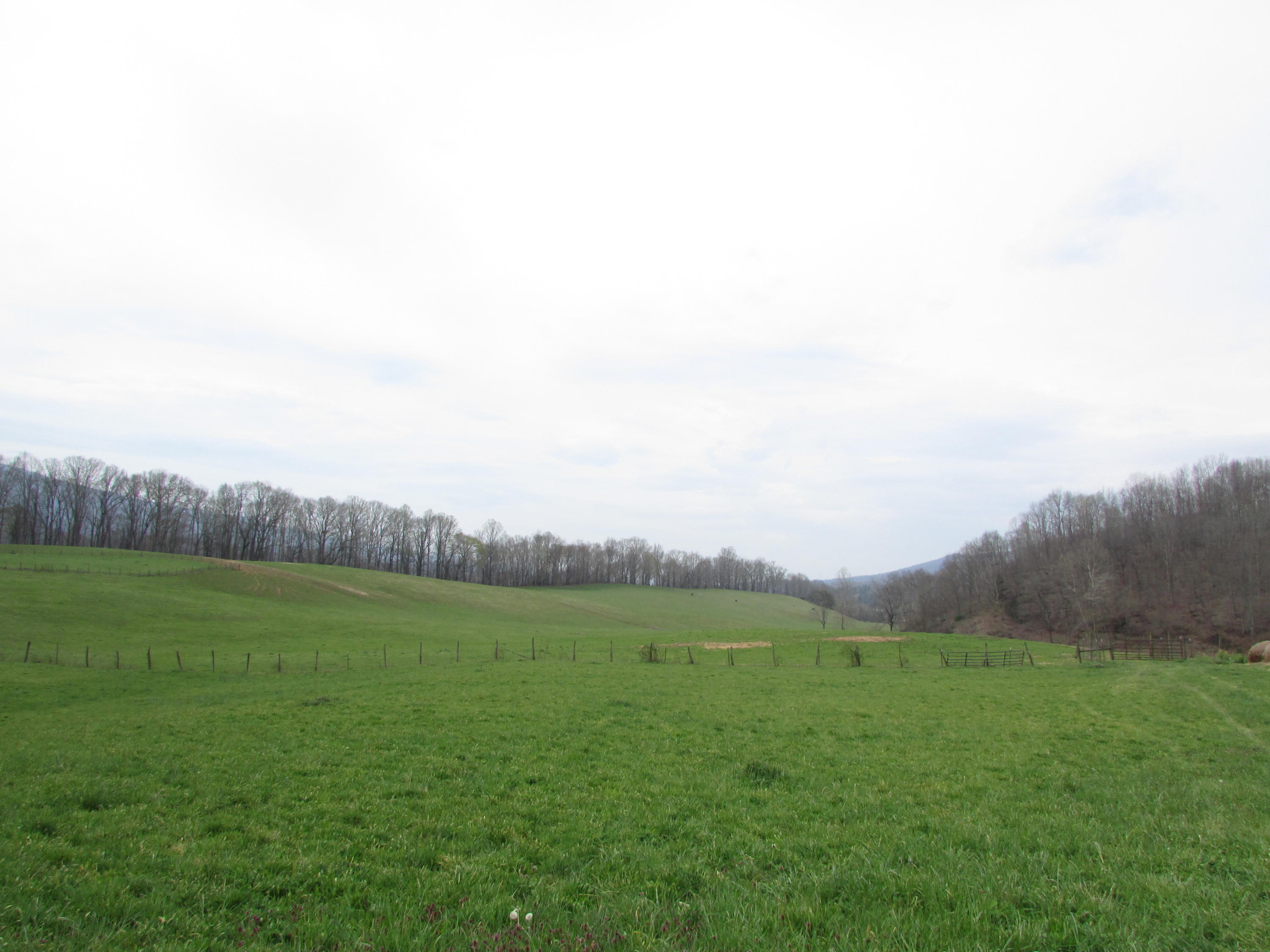 Tbd Cole Hollow Road Elizabethton, TN 37643 - Photo 28 of 57 Cole Hollow Road Elizabethton TN 37643 (