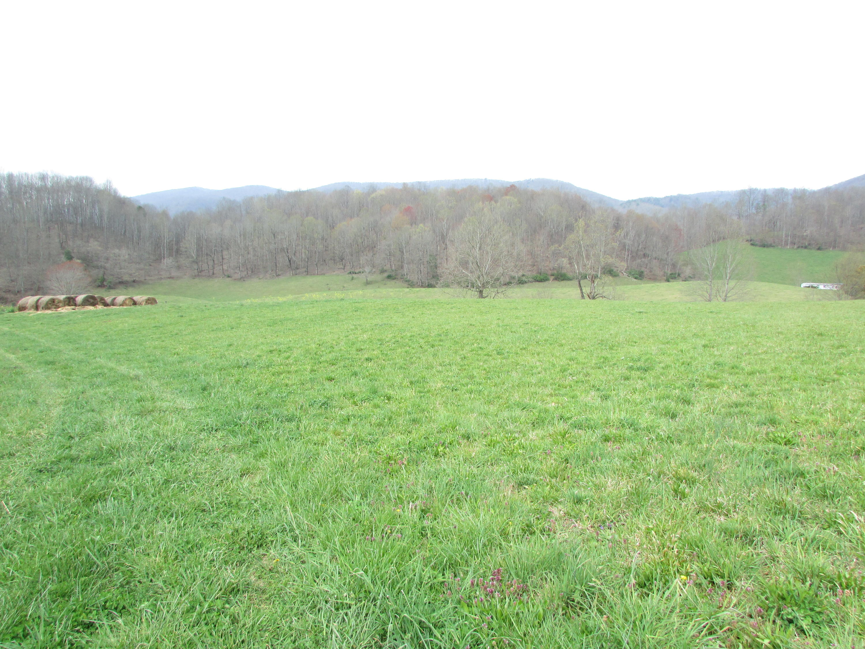 Tbd Cole Hollow Road Elizabethton, TN 37643 - Photo 29 of 57 Cole Hollow Road Elizabethton TN 37643 (