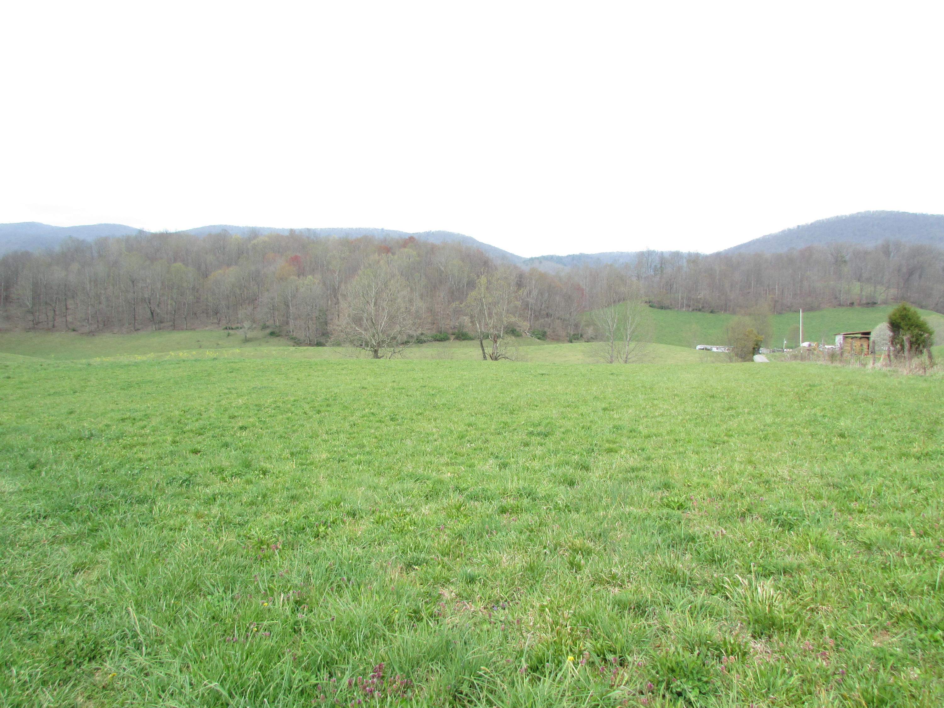 Tbd Cole Hollow Road Elizabethton, TN 37643 - Photo 30 of 57 Cole Hollow Road Elizabethton TN 37643 (