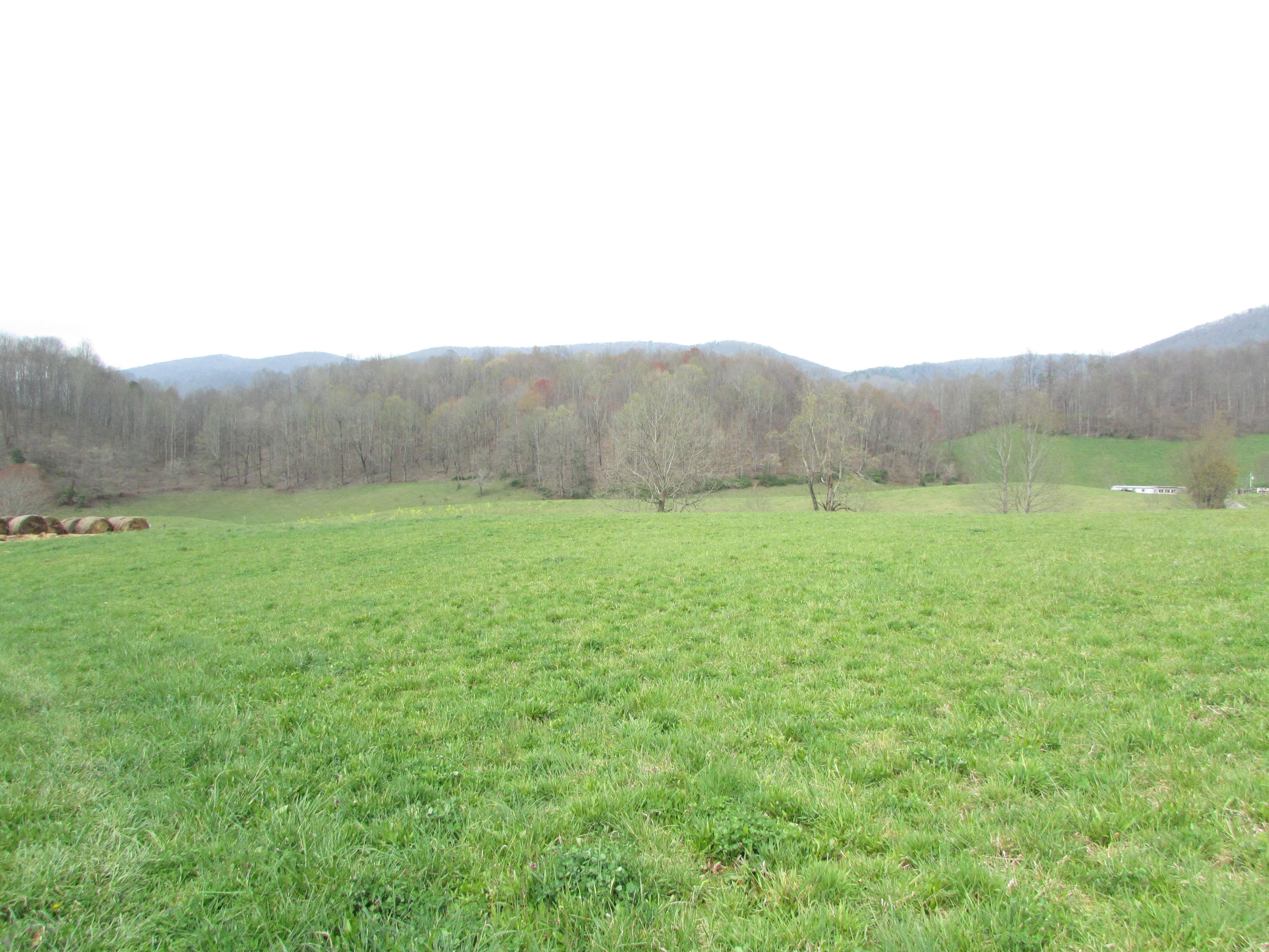 Tbd Cole Hollow Road Elizabethton, TN 37643 - Photo 31 of 57 Cole Hollow Road Elizabethton TN 37643 (