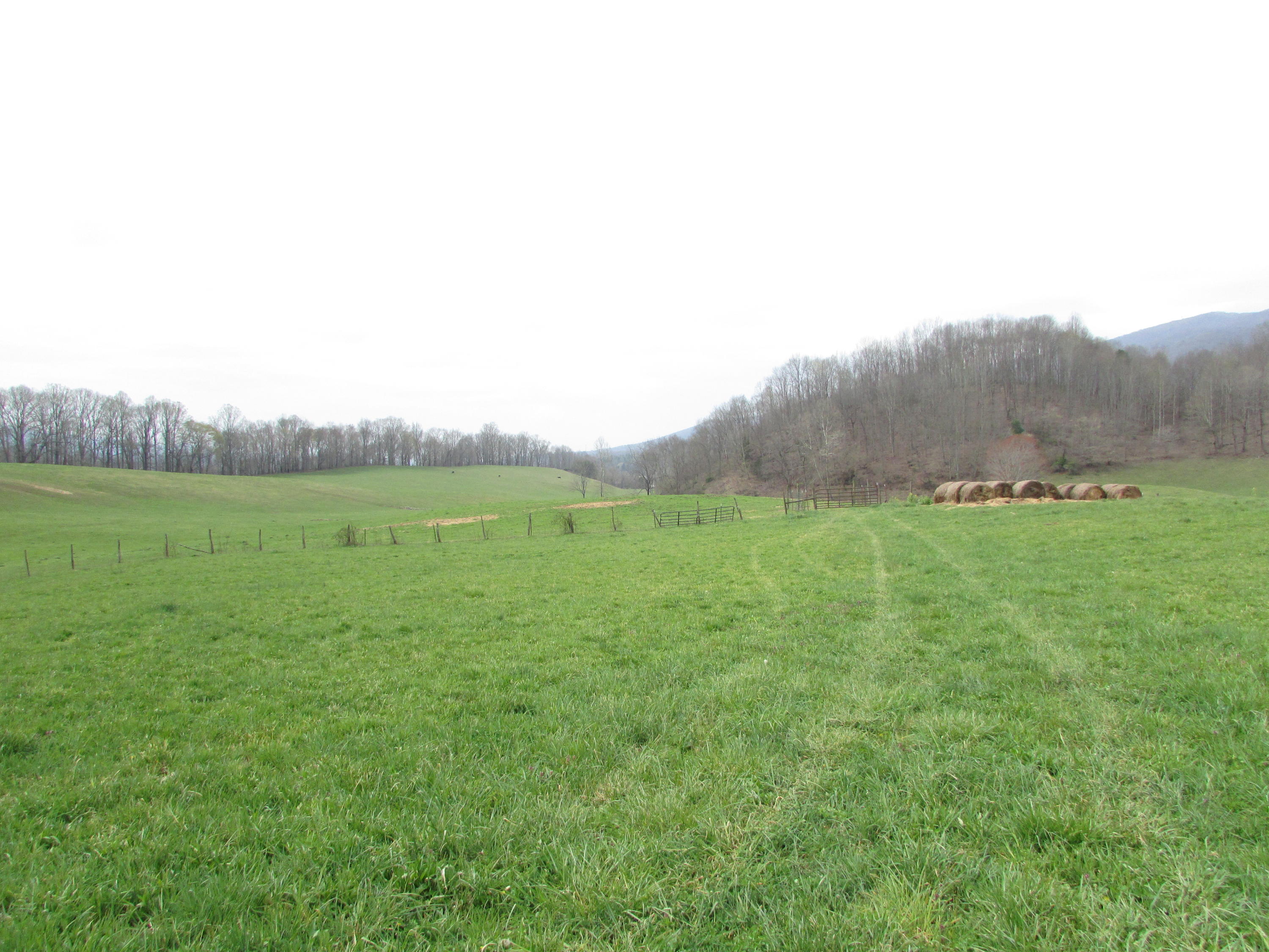 Tbd Cole Hollow Road Elizabethton, TN 37643 - Photo 32 of 57 Cole Hollow Road Elizabethton TN 37643 (