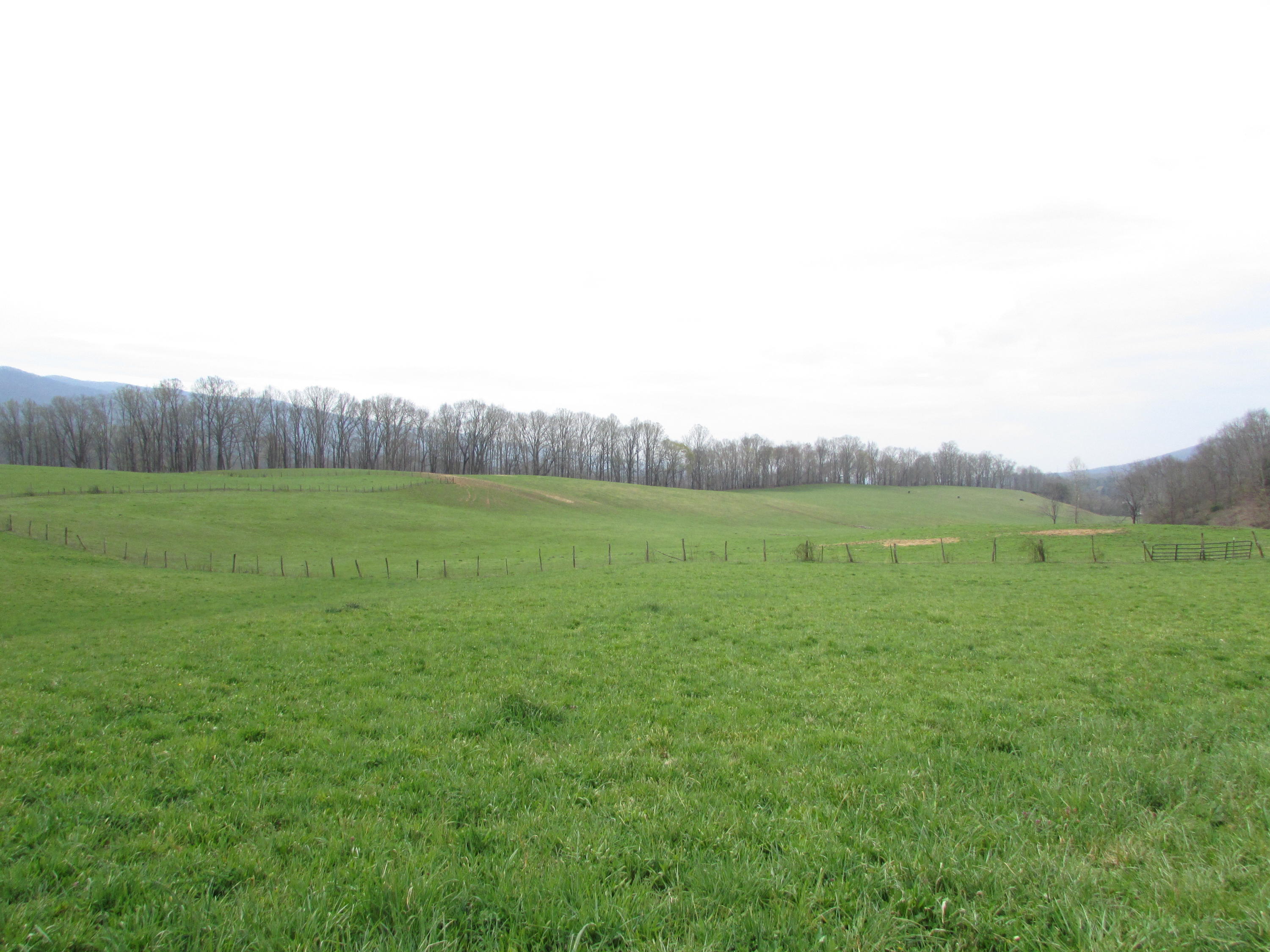 Tbd Cole Hollow Road Elizabethton, TN 37643 - Photo 33 of 57 Cole Hollow Road Elizabethton TN 37643 (