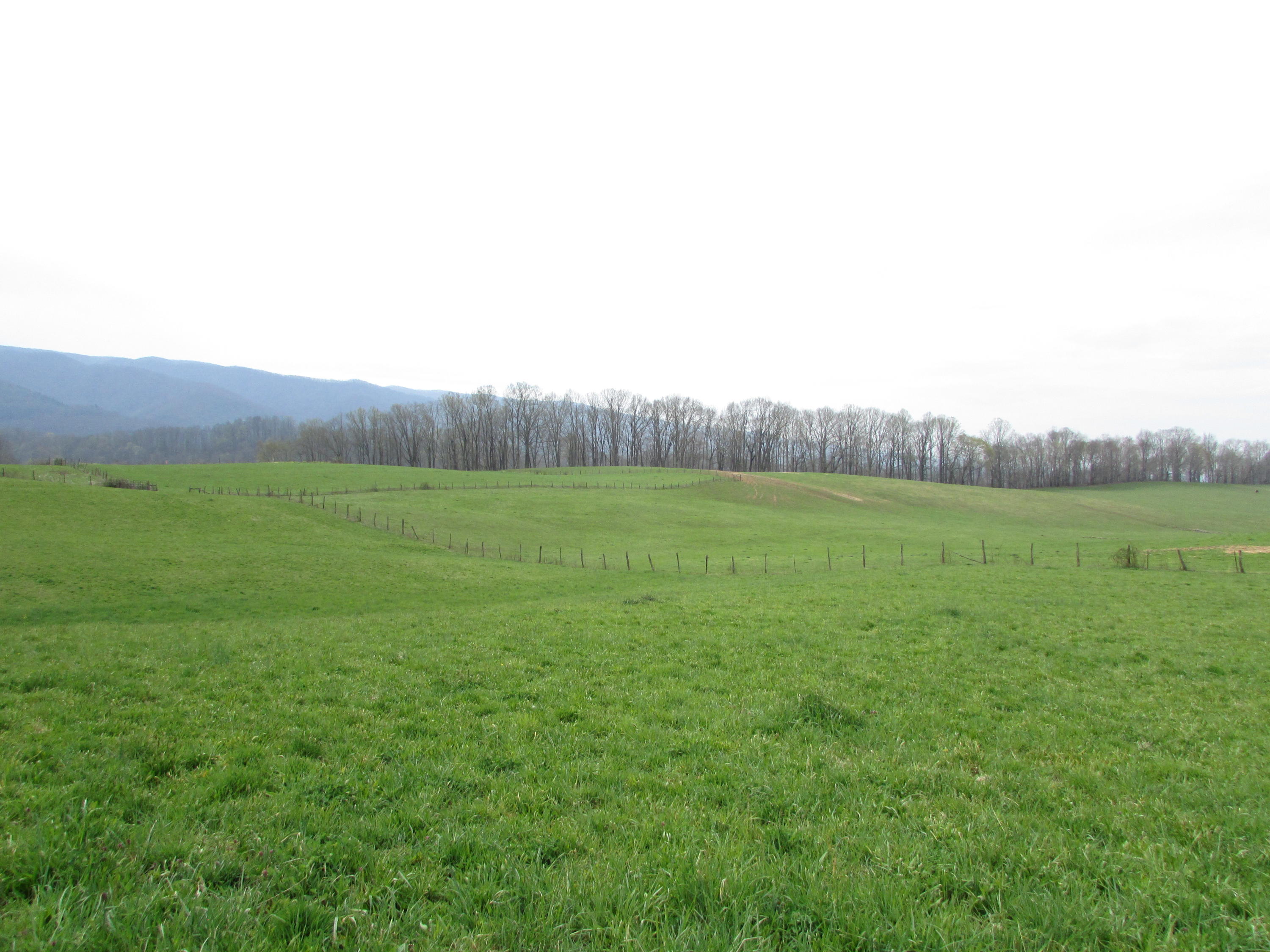 Tbd Cole Hollow Road Elizabethton, TN 37643 - Photo 34 of 57 Cole Hollow Road Elizabethton TN 37643 (