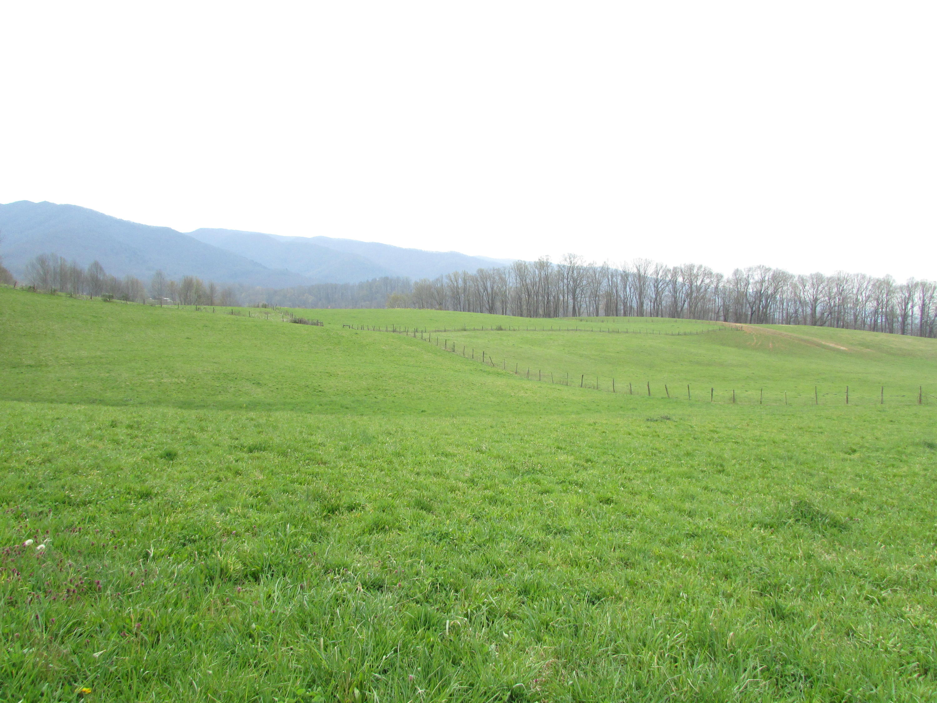 Tbd Cole Hollow Road Elizabethton, TN 37643 - Photo 35 of 57 Cole Hollow Road Elizabethton TN 37643 (