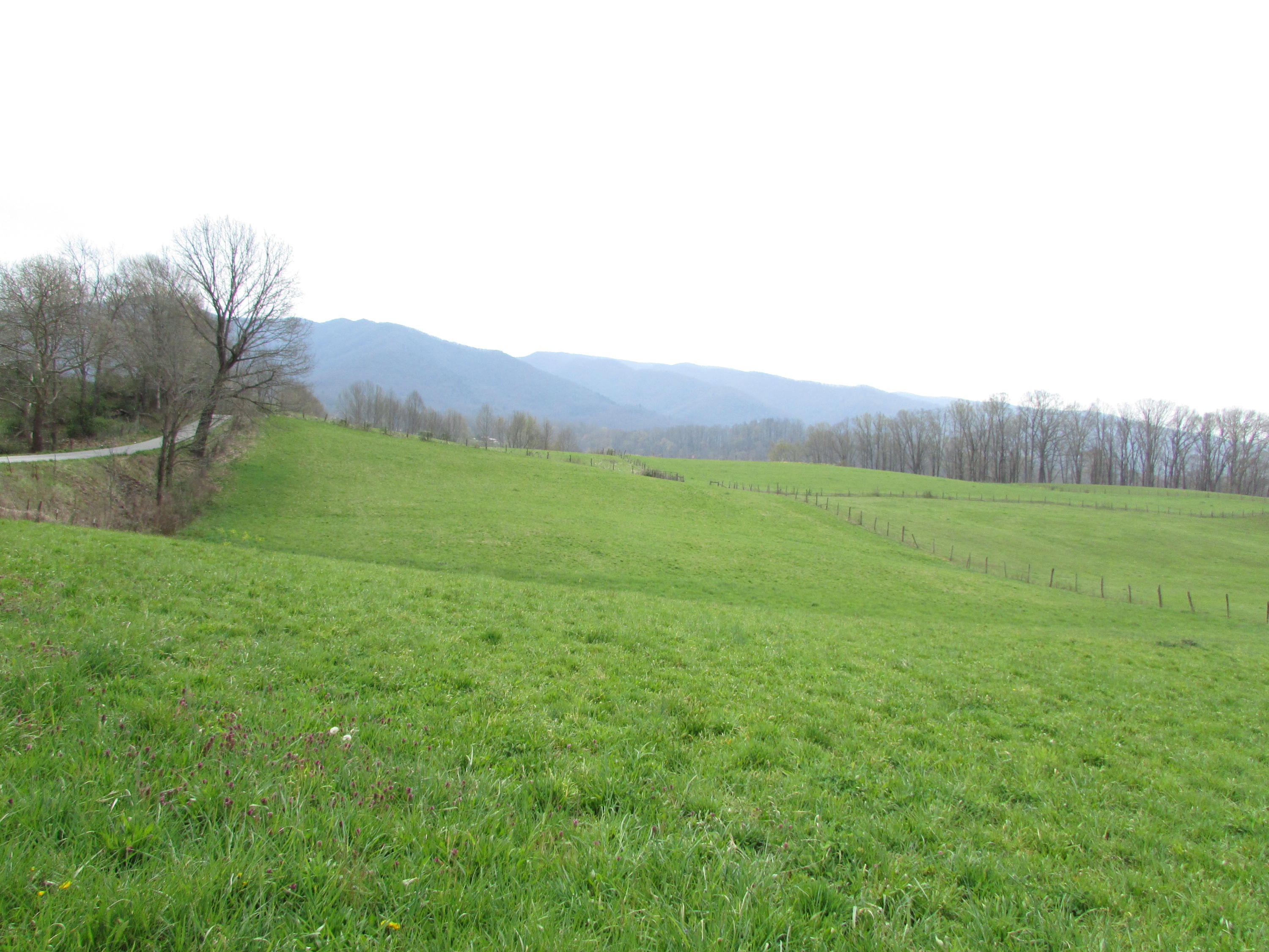 Tbd Cole Hollow Road Elizabethton, TN 37643 - Photo 36 of 57 Cole Hollow Road Elizabethton TN 37643 (