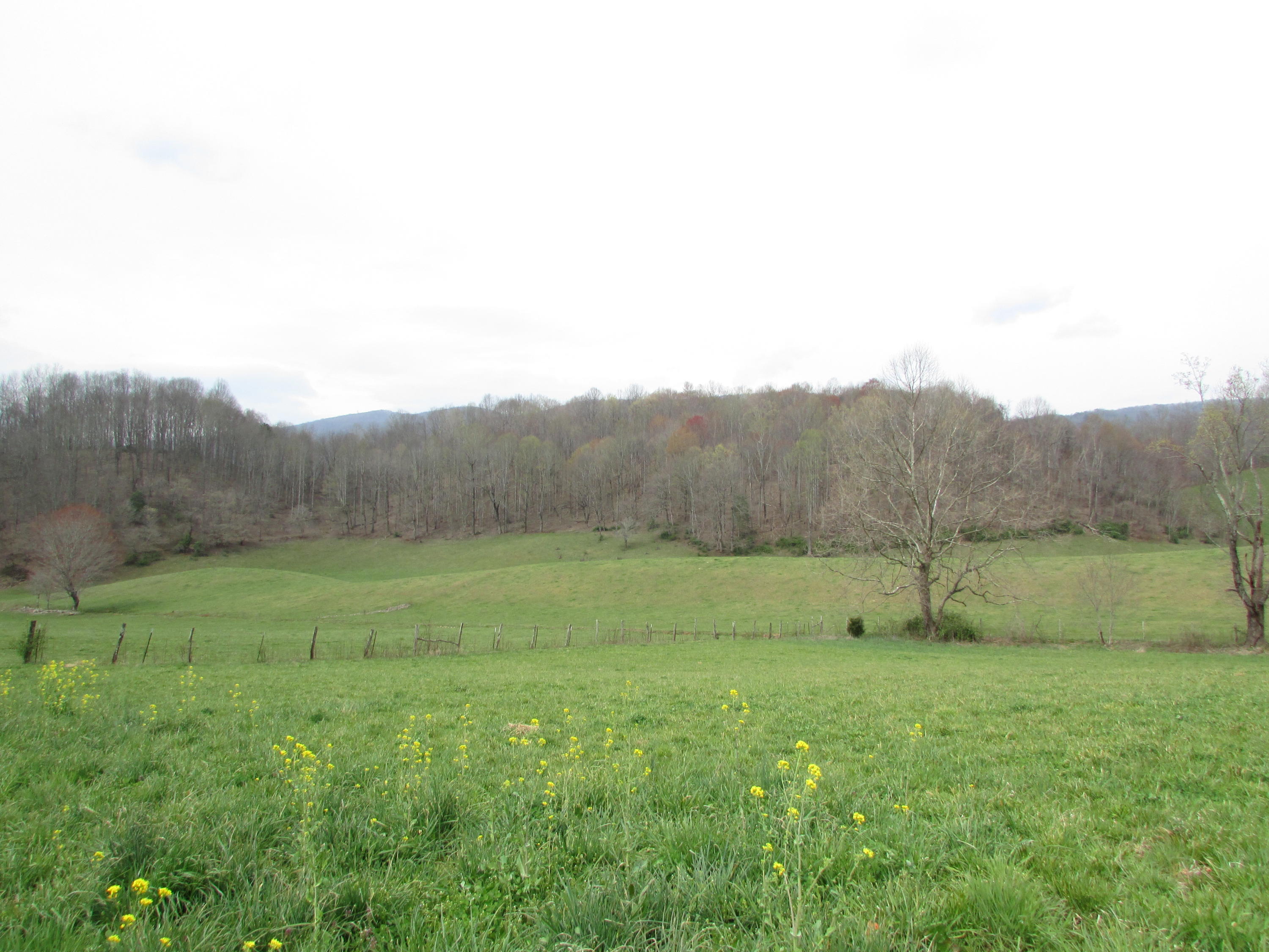Tbd Cole Hollow Road Elizabethton, TN 37643 - Photo 37 of 57 Cole Hollow Road Elizabethton TN 37643 (