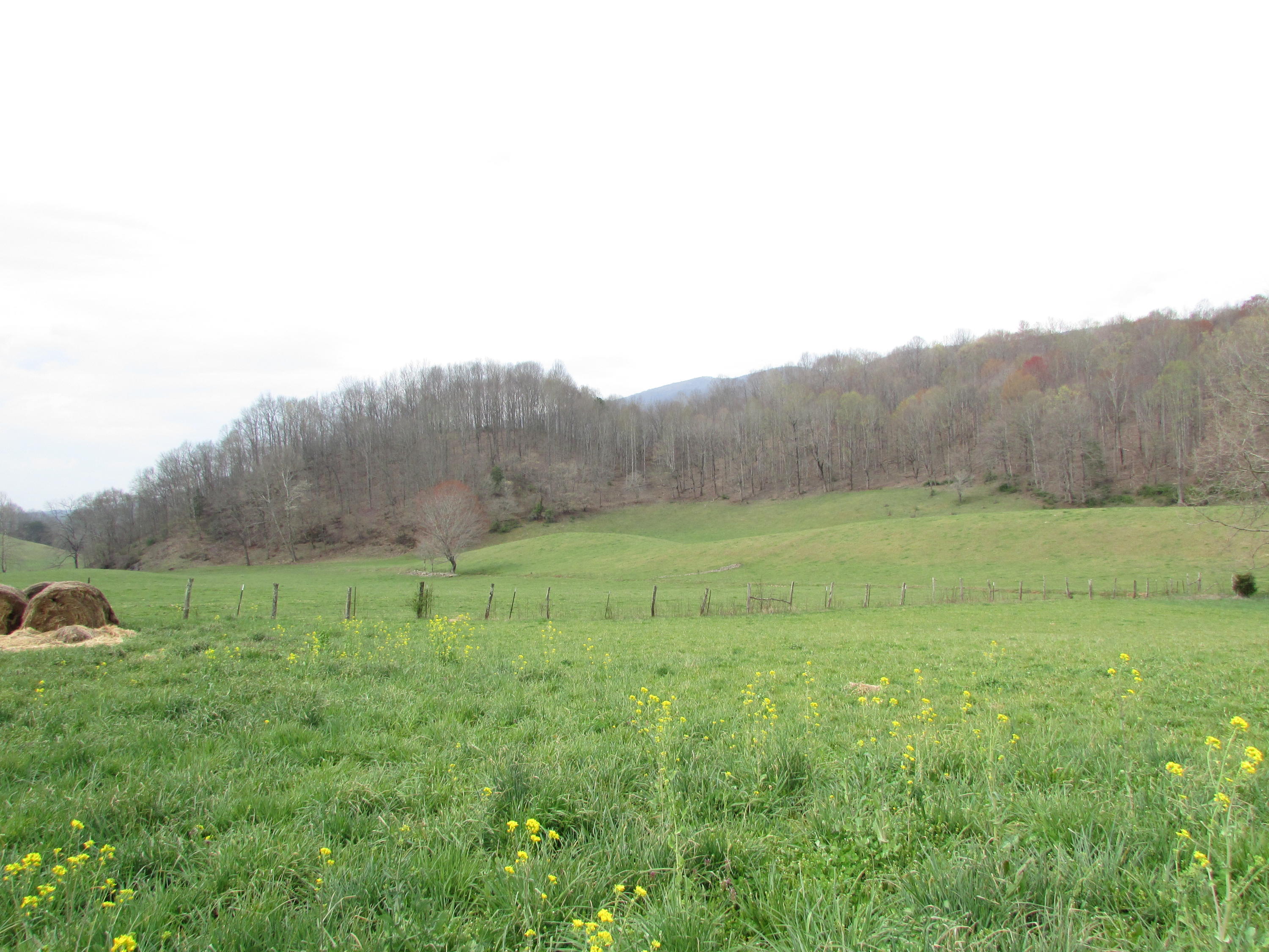 Tbd Cole Hollow Road Elizabethton, TN 37643 - Photo 38 of 57 Cole Hollow Road Elizabethton TN 37643 (