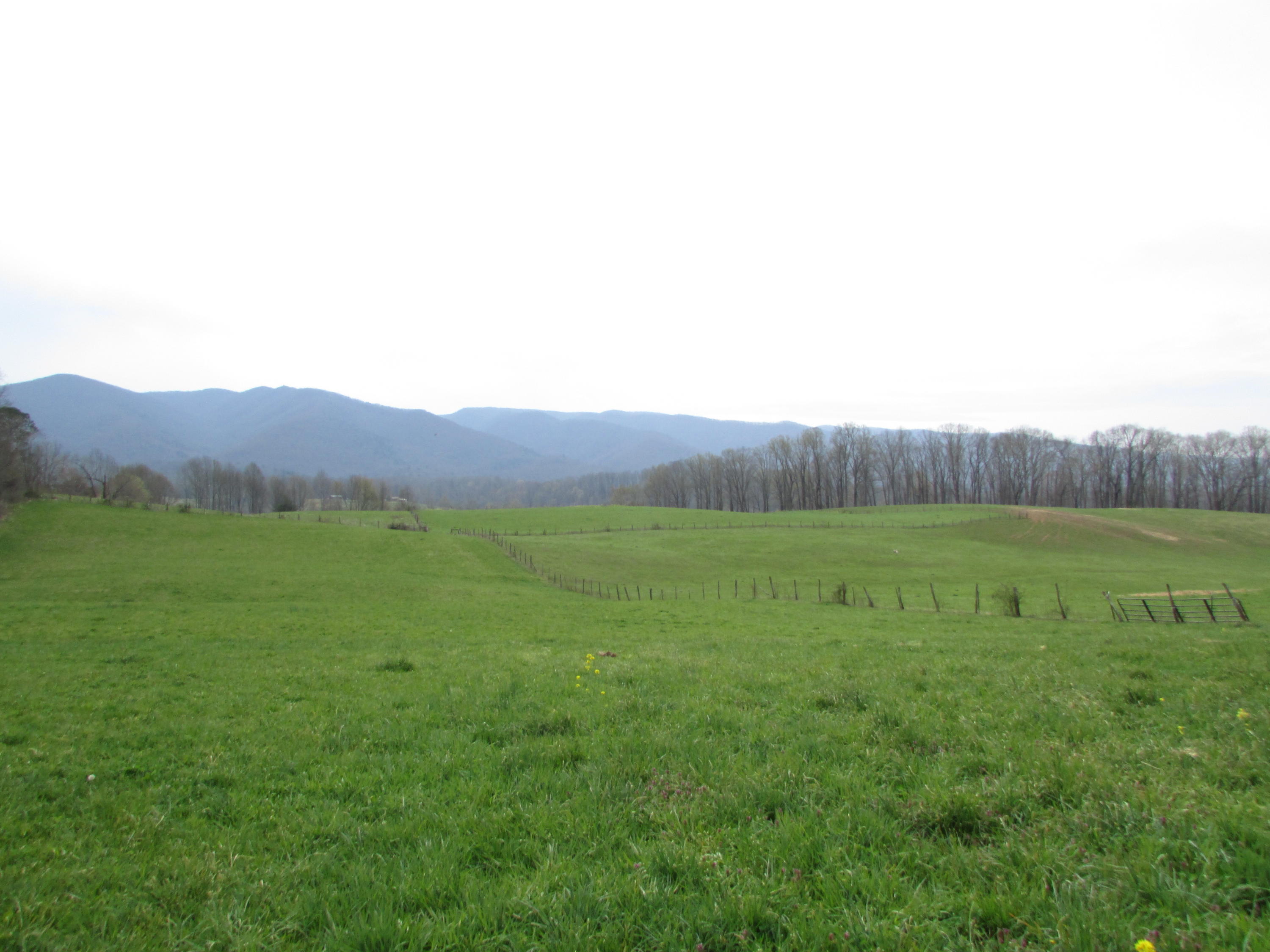 Tbd Cole Hollow Road Elizabethton, TN 37643 - Photo 39 of 57 Cole Hollow Road Elizabethton TN 37643 (
