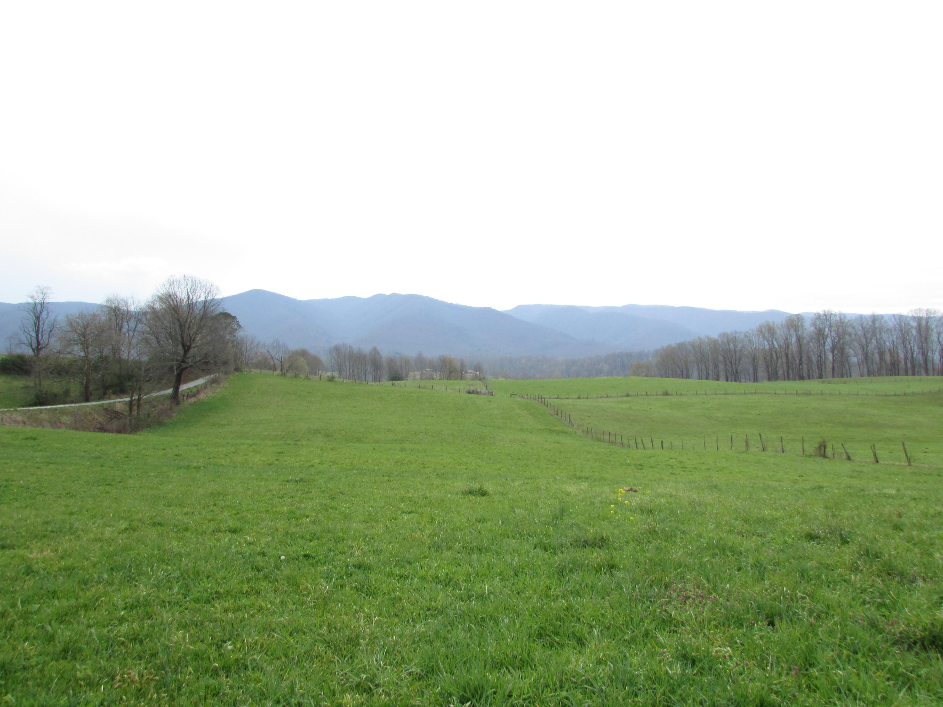 Tbd Cole Hollow Road Elizabethton, TN 37643 - Photo 40 of 57 Cole Hollow Road Elizabethton TN 37643 (