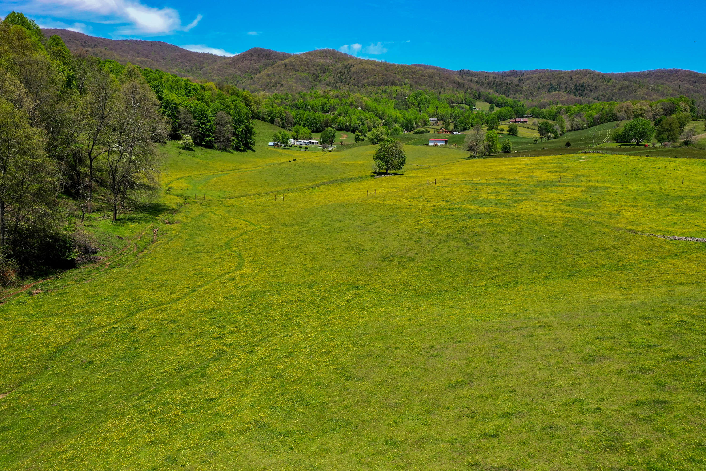 Cole Hollow Rd-2