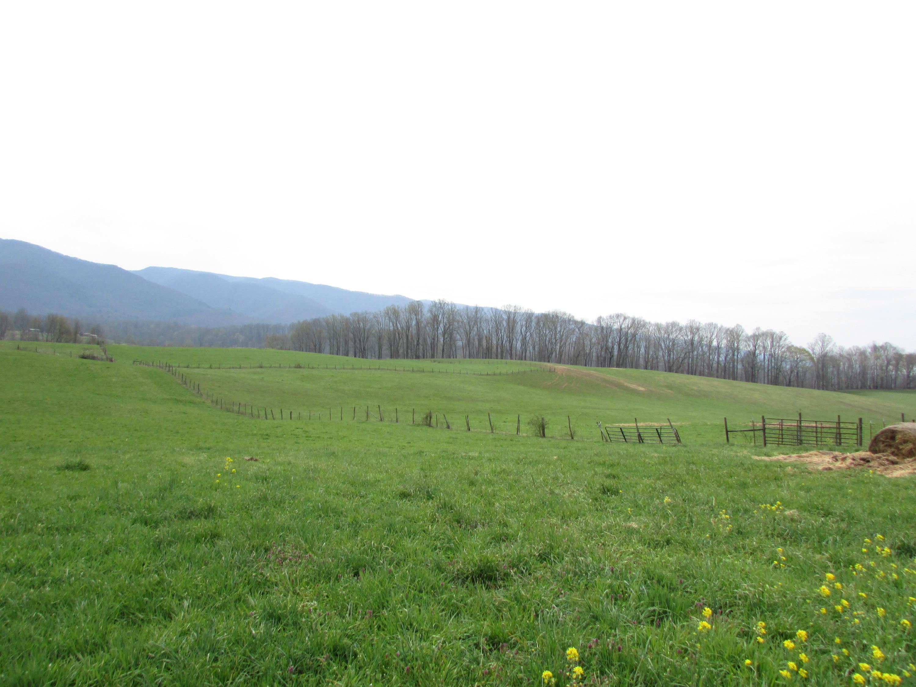 Tbd Cole Hollow Road Elizabethton, TN 37643 - Photo 41 of 57 Cole Hollow Road Elizabethton TN 37643 (
