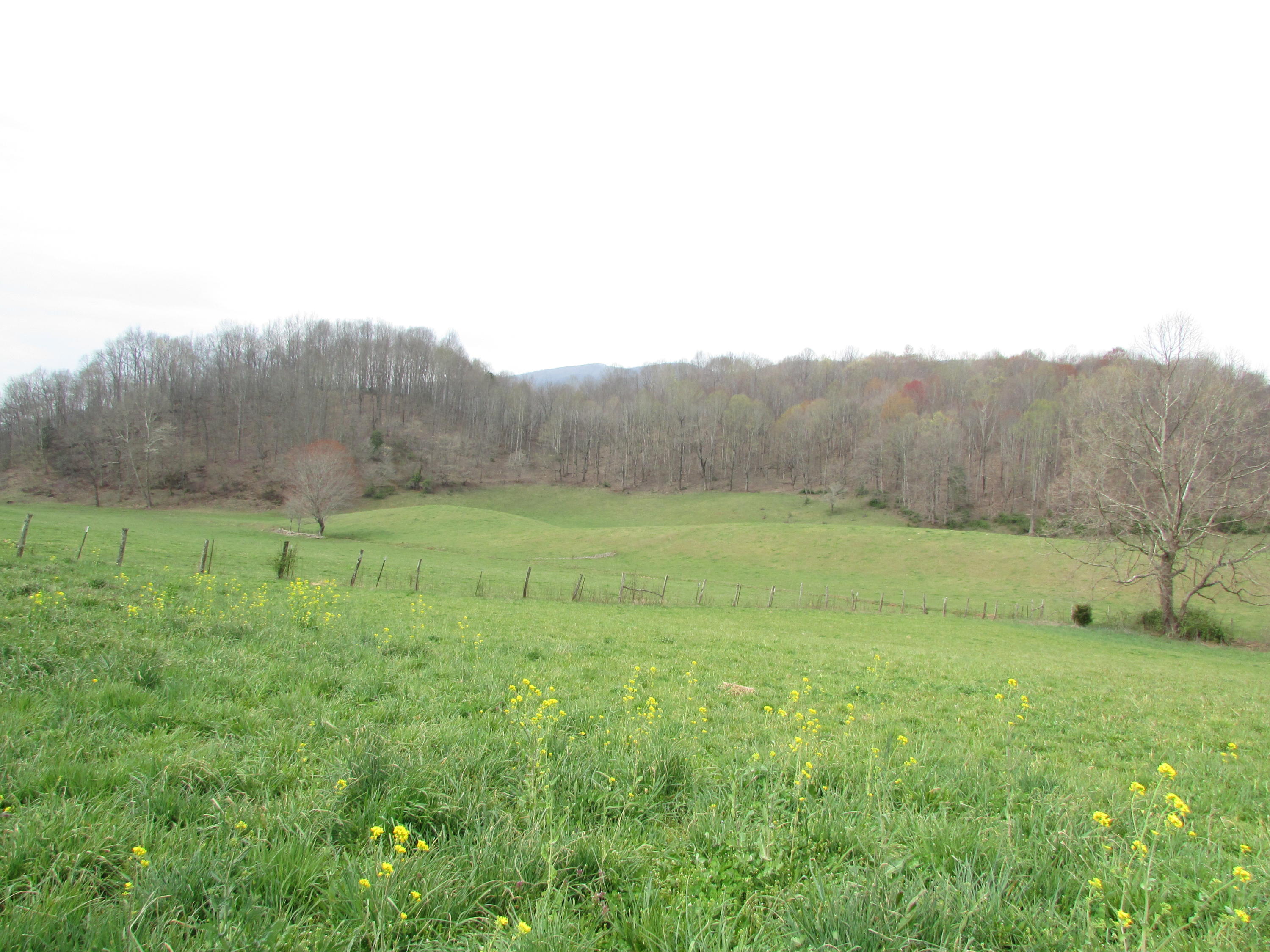 Tbd Cole Hollow Road Elizabethton, TN 37643 - Photo 42 of 57 Cole Hollow Road Elizabethton TN 37643 (