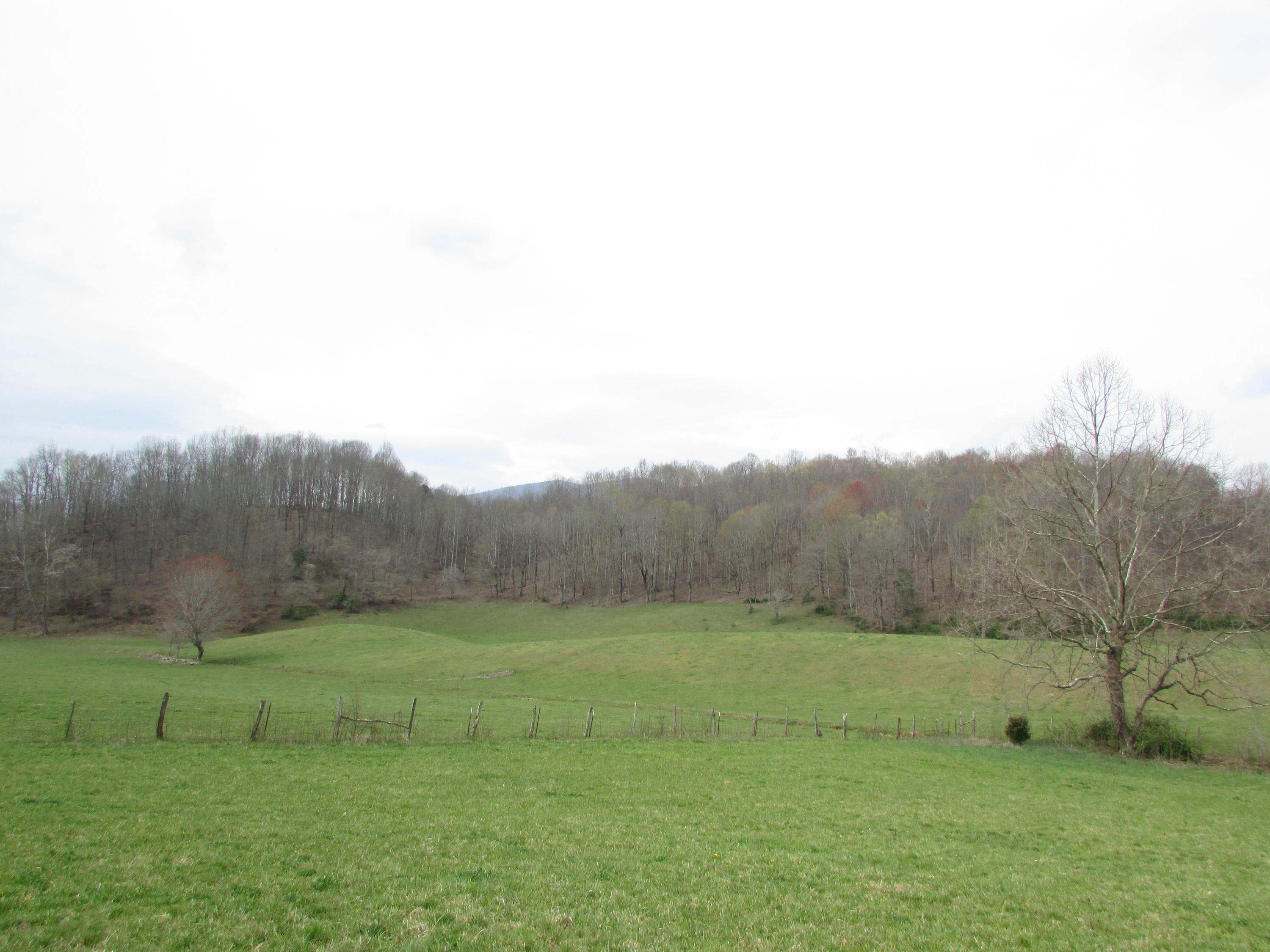 Tbd Cole Hollow Road Elizabethton, TN 37643 - Photo 43 of 57 Cole Hollow Road Elizabethton TN 37643 (