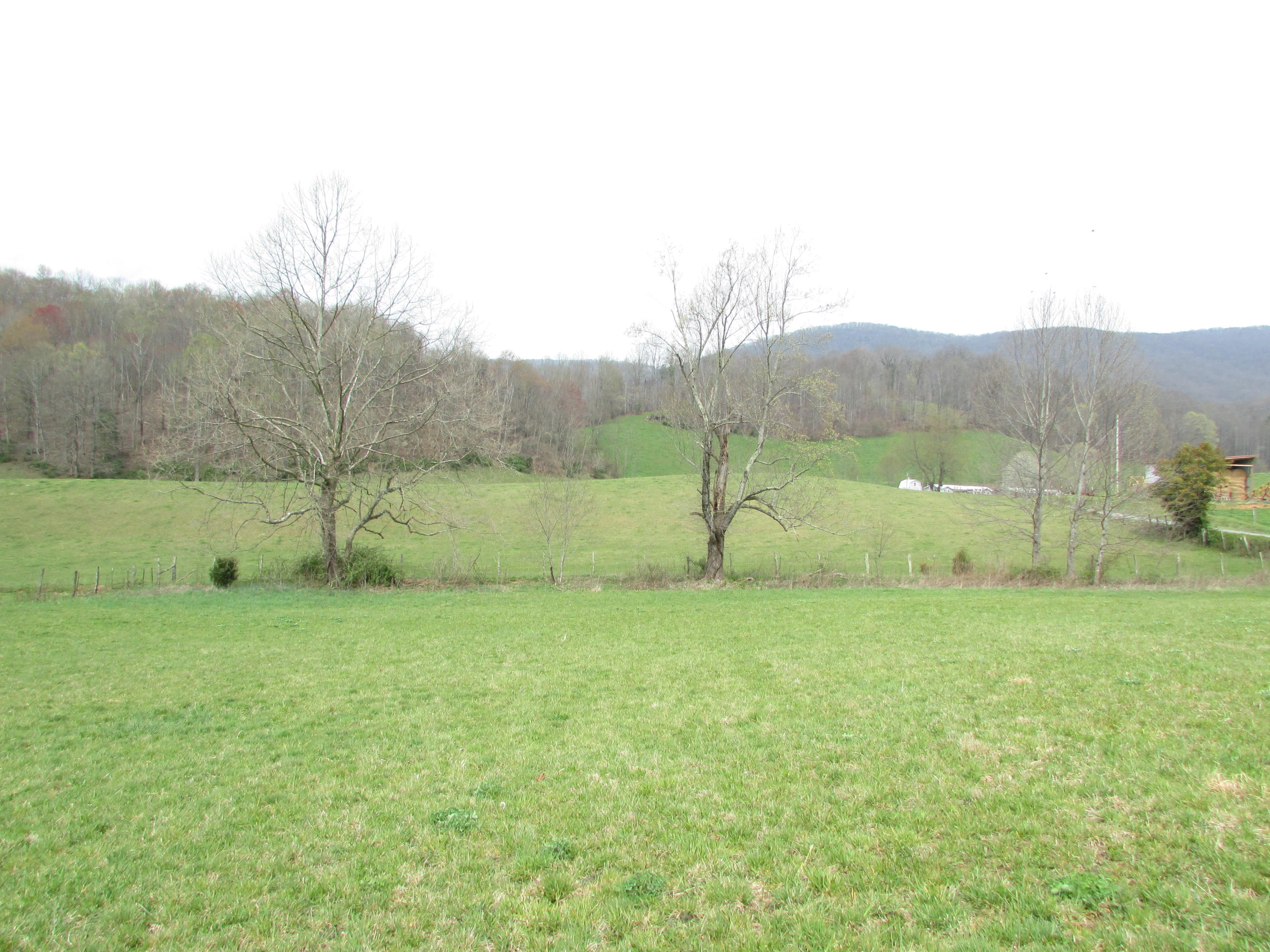 Tbd Cole Hollow Road Elizabethton, TN 37643 - Photo 44 of 57 Cole Hollow Road Elizabethton TN 37643 (