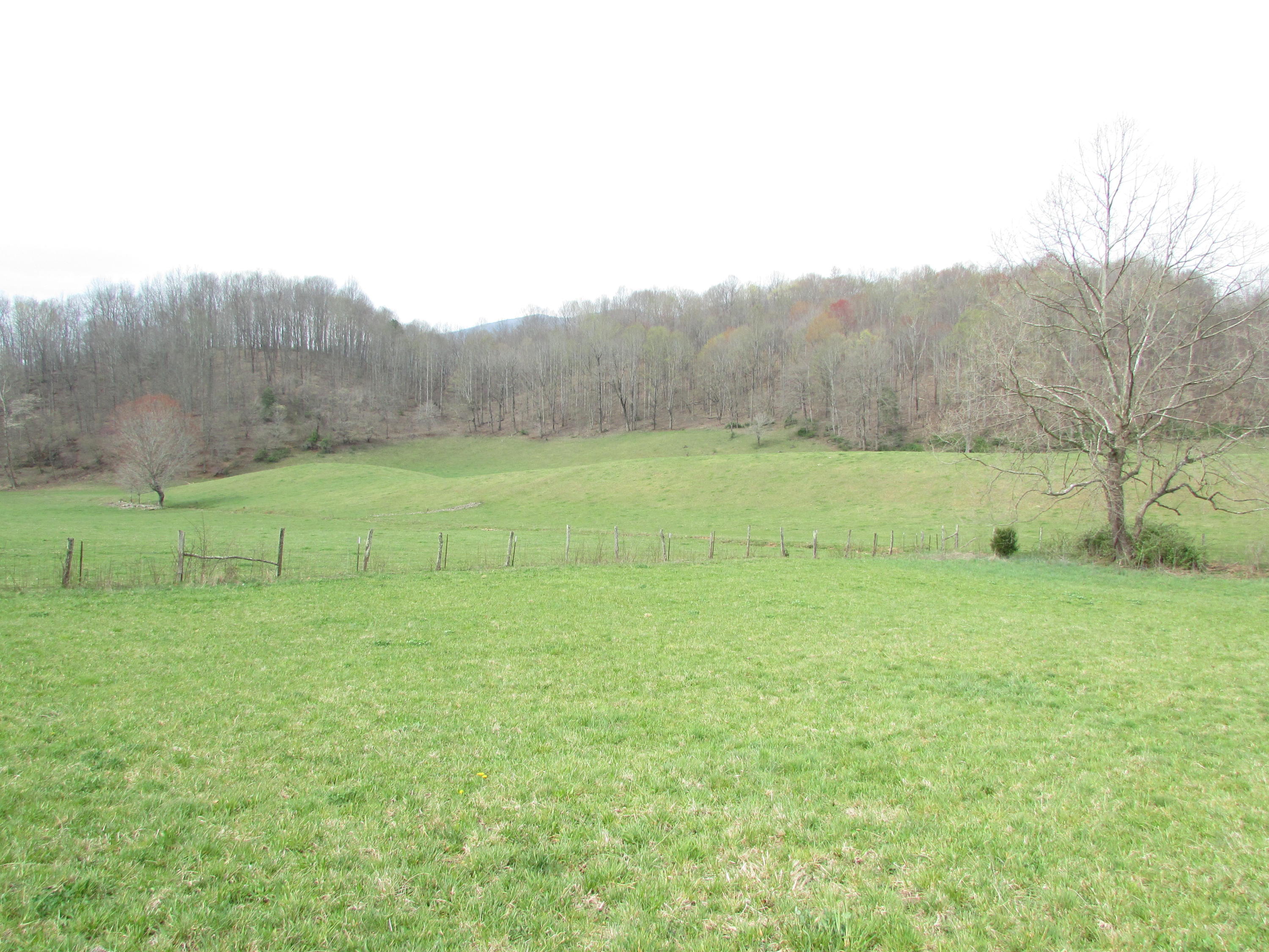 Tbd Cole Hollow Road Elizabethton, TN 37643 - Photo 45 of 57 Cole Hollow Road Elizabethton TN 37643 (