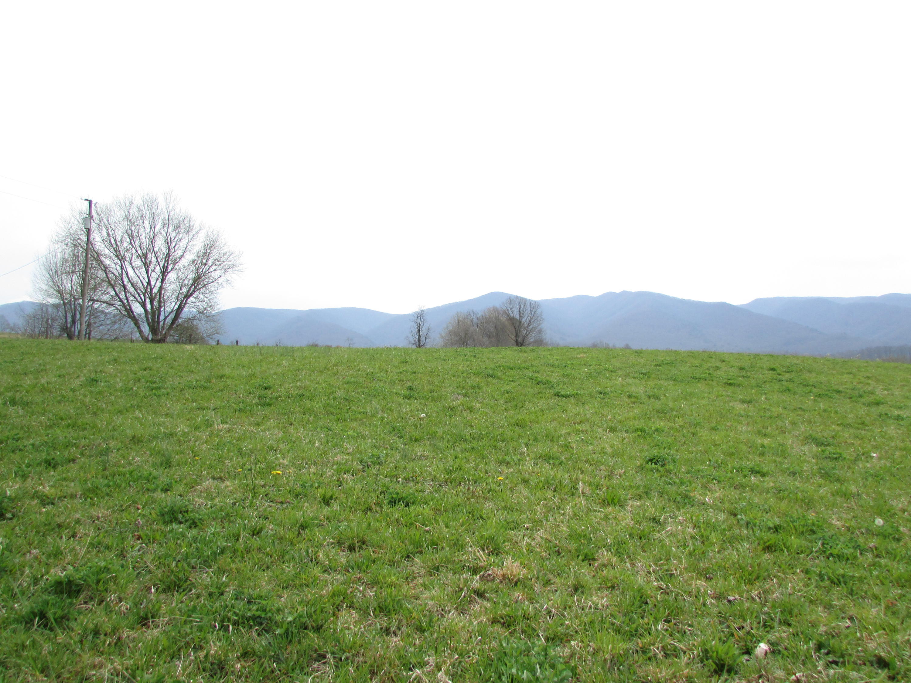 Tbd Cole Hollow Road Elizabethton, TN 37643 - Photo 46 of 57 Cole Hollow Road Elizabethton TN 37643 (