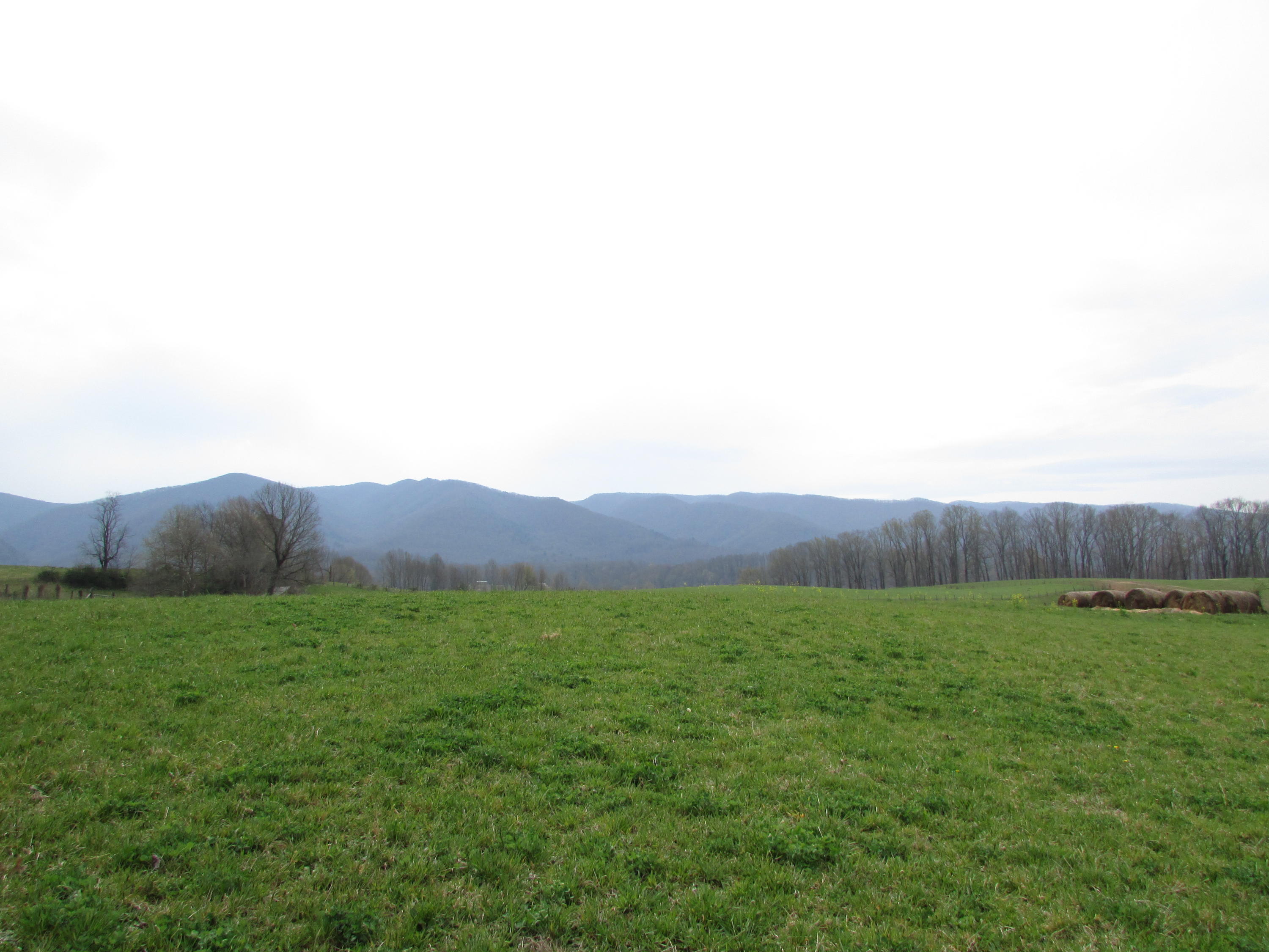 Tbd Cole Hollow Road Elizabethton, TN 37643 - Photo 47 of 57 Cole Hollow Road Elizabethton TN 37643 (