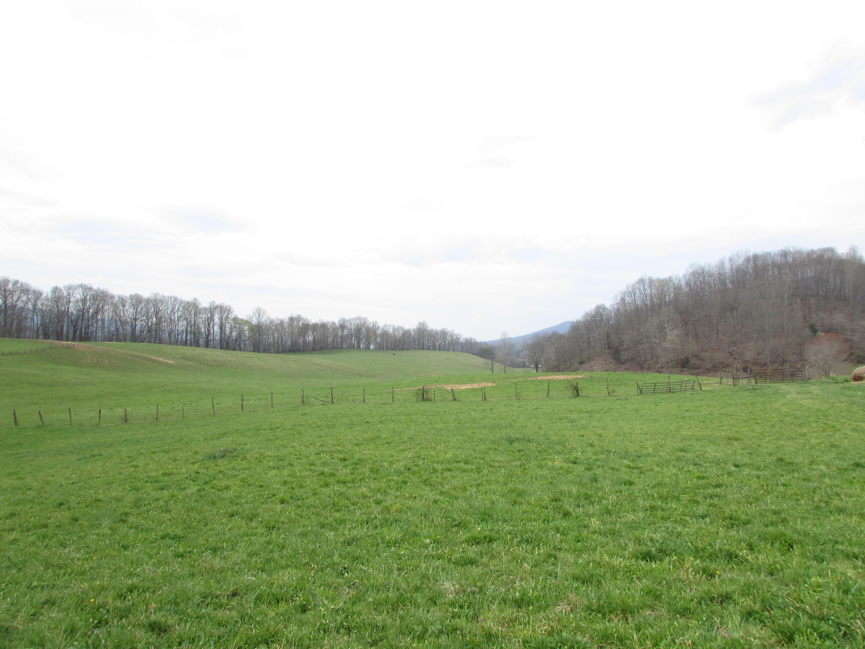 Tbd Cole Hollow Road Elizabethton, TN 37643 - Photo 48 of 57 Cole Hollow Road Elizabethton TN 37643 (