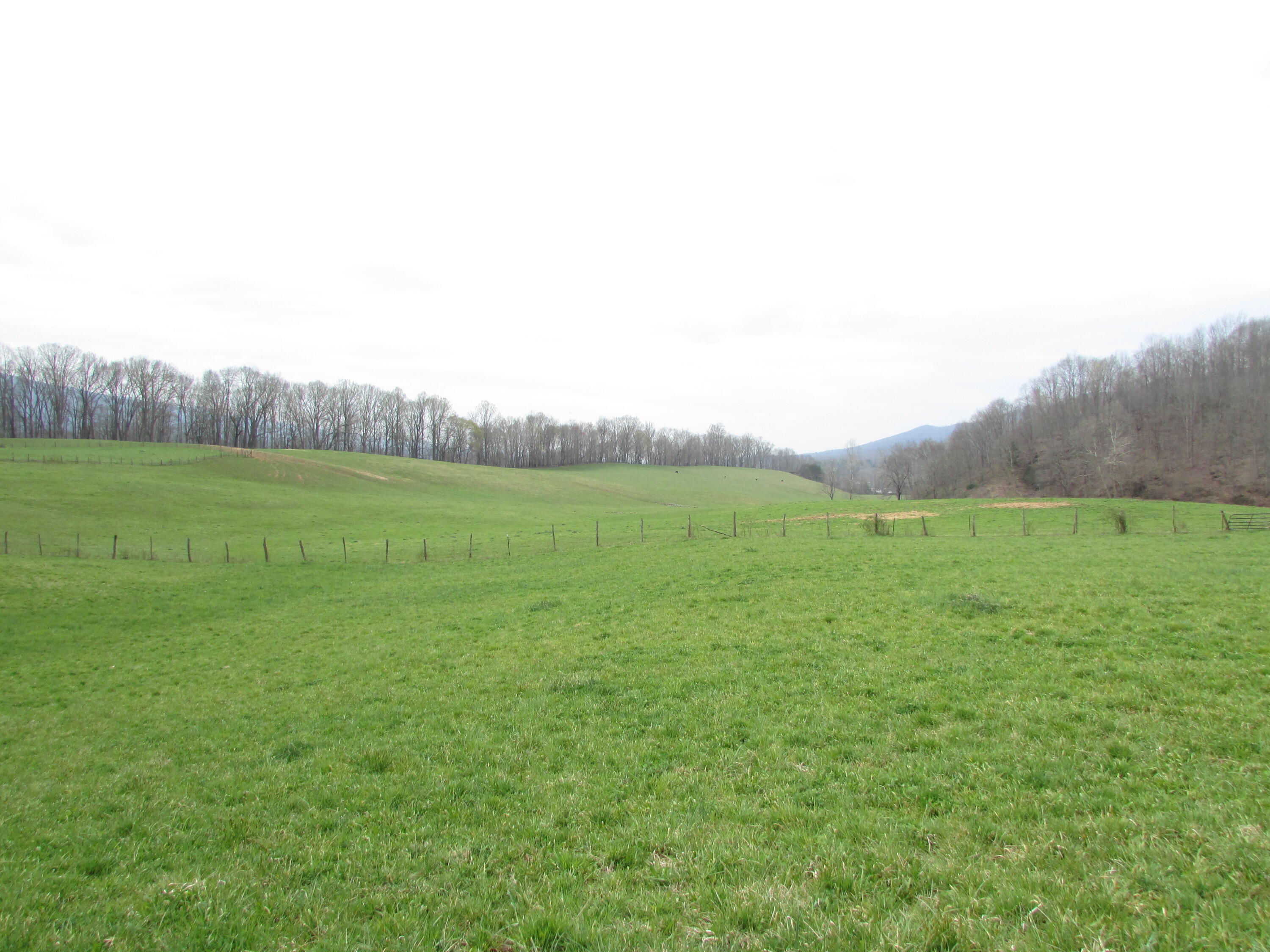 Tbd Cole Hollow Road Elizabethton, TN 37643 - Photo 49 of 57 Cole Hollow Road Elizabethton TN 37643 (