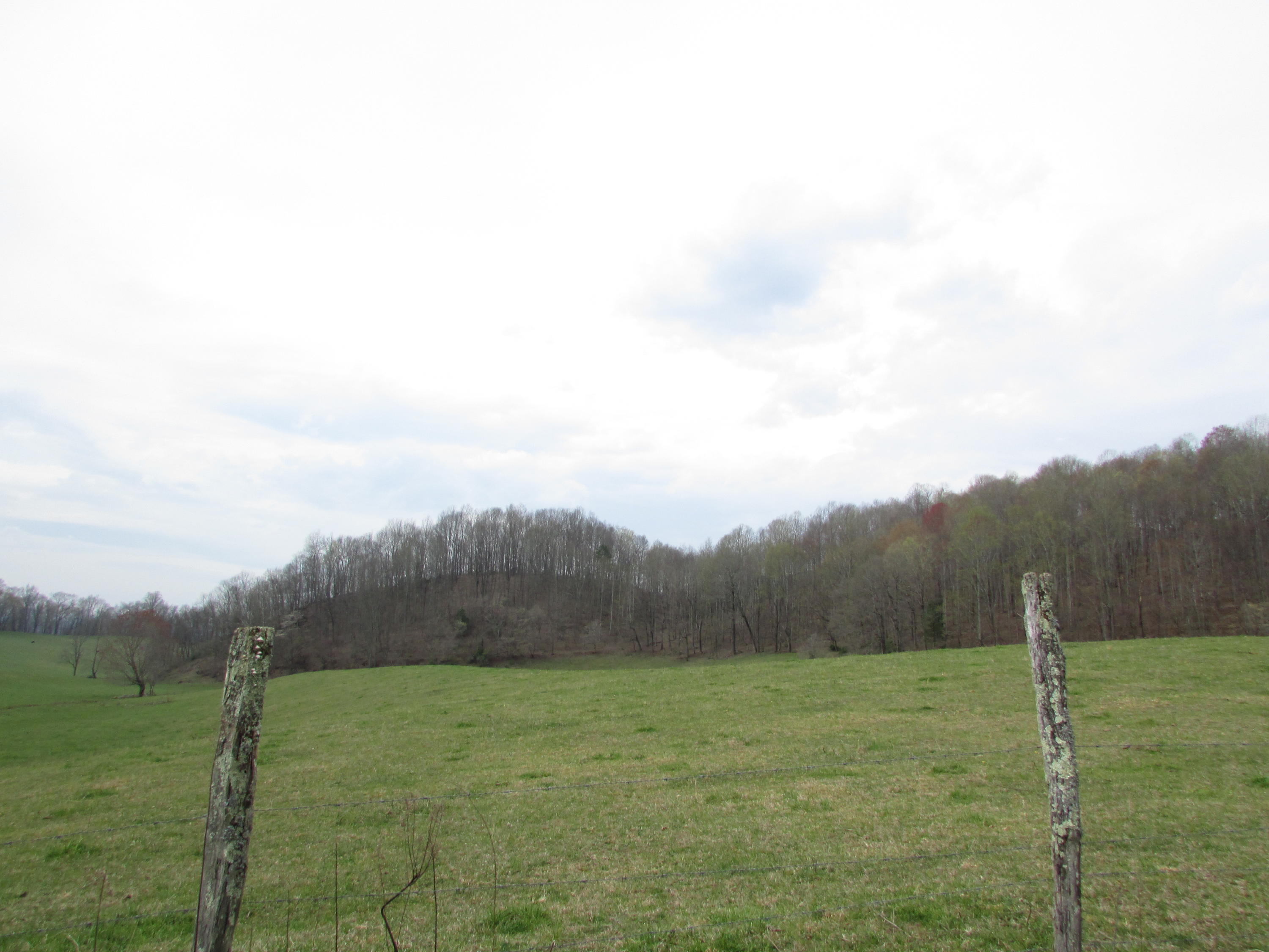 Tbd Cole Hollow Road Elizabethton, TN 37643 - Photo 50 of 57 Cole Hollow Road Elizabethton TN 37643 (