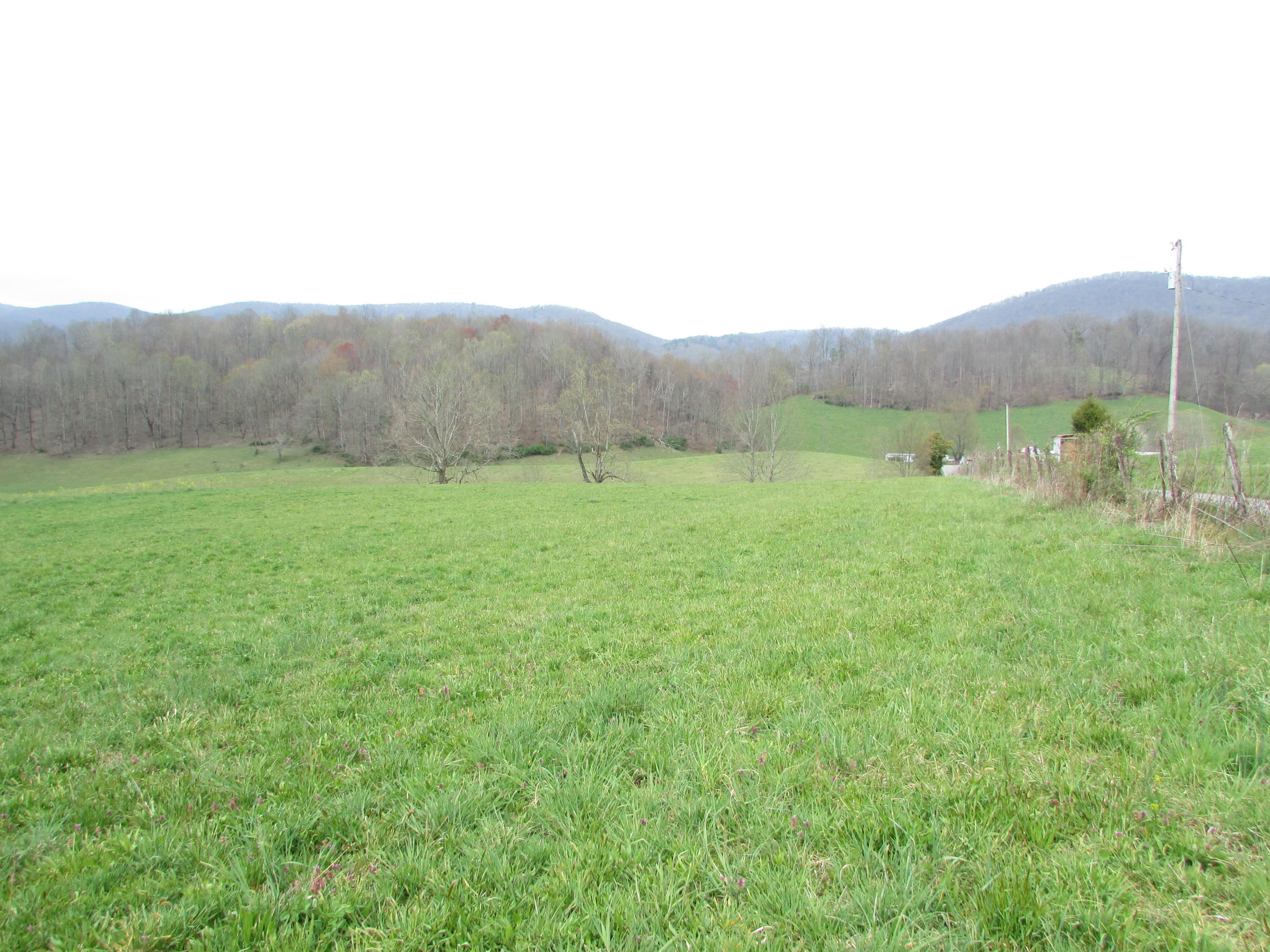 Cole Hollow Road Elizabethton TN 37643 (