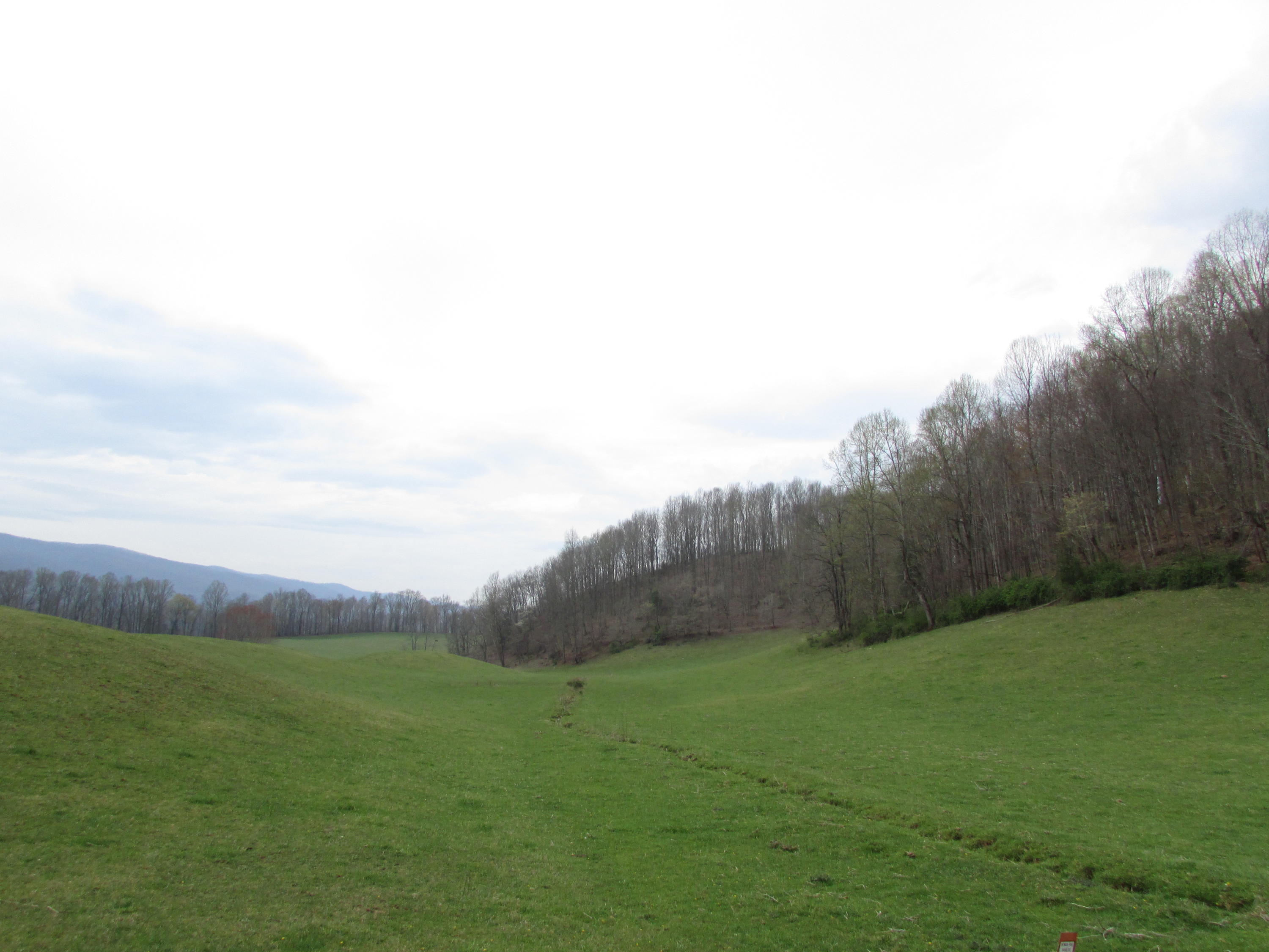 Tbd Cole Hollow Road Elizabethton, TN 37643 - Photo 51 of 57 Cole Hollow Road Elizabethton TN 37643 (