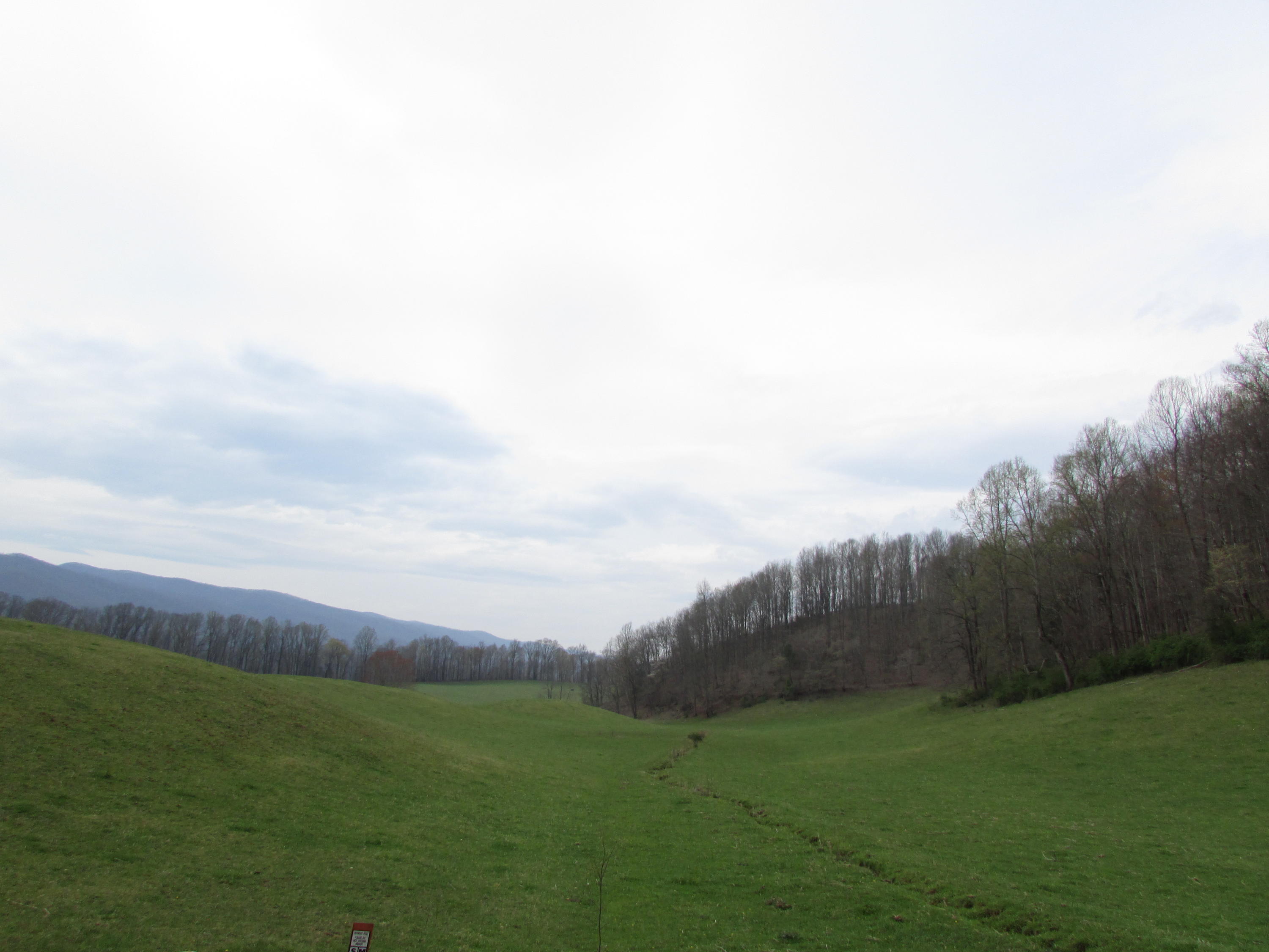 Tbd Cole Hollow Road Elizabethton, TN 37643 - Photo 52 of 57 Cole Hollow Road Elizabethton TN 37643 (