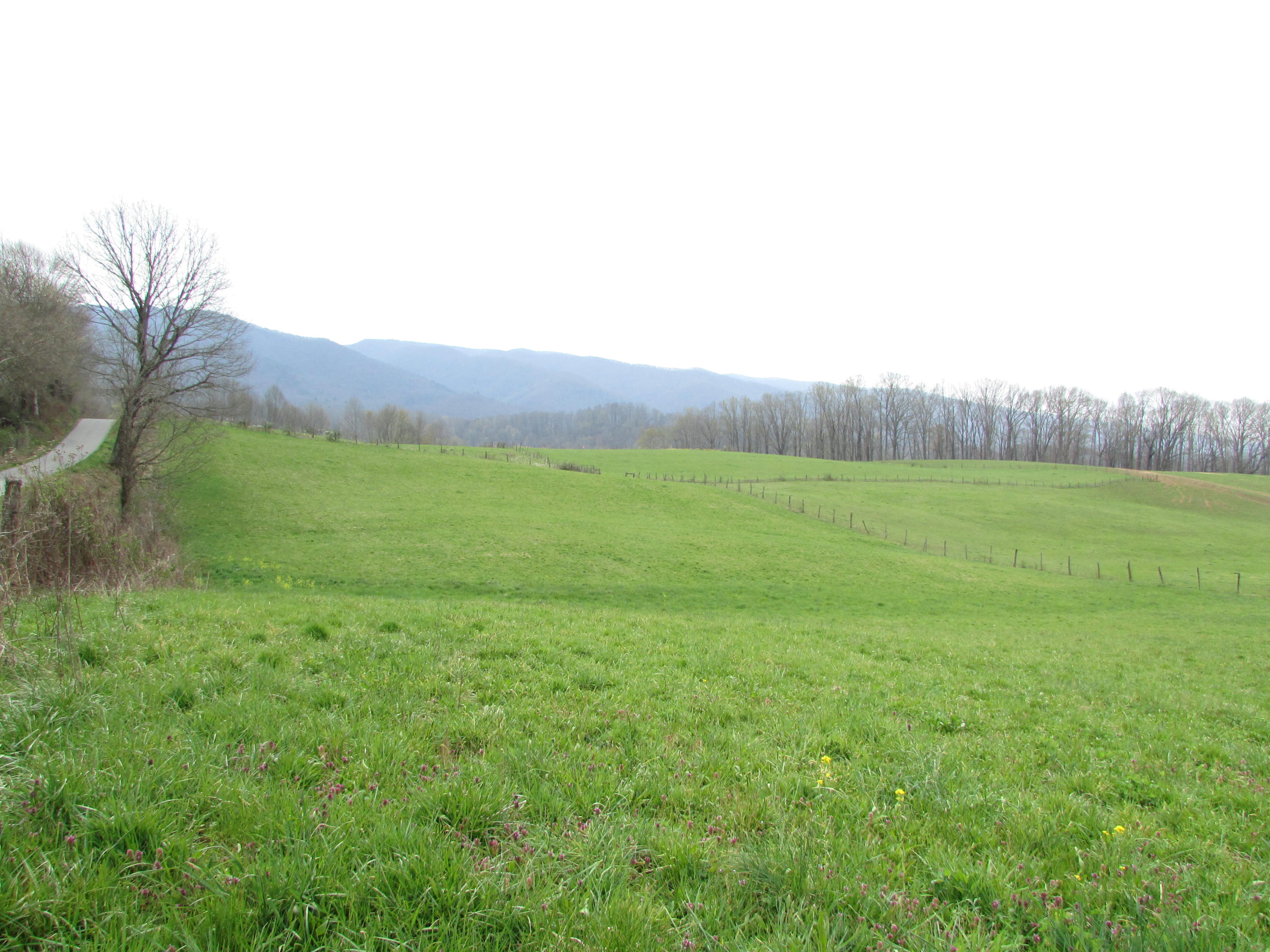 Tbd Cole Hollow Road Elizabethton, TN 37643 - Photo 54 of 57 Cole Hollow Road Elizabethton TN 37643 (