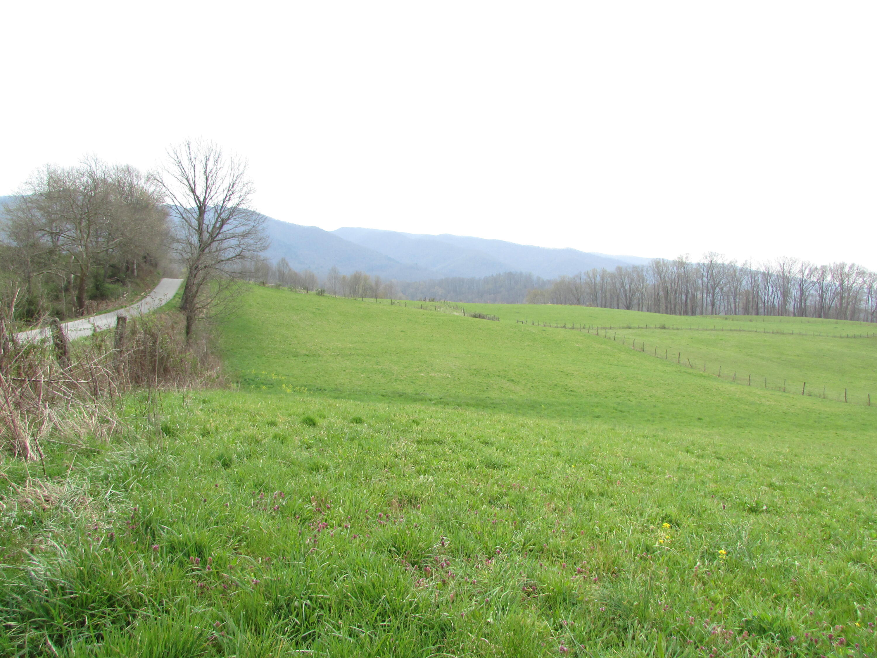 Tbd Cole Hollow Road Elizabethton, TN 37643 - Photo 55 of 57 Cole Hollow Road Elizabethton TN 37643 (