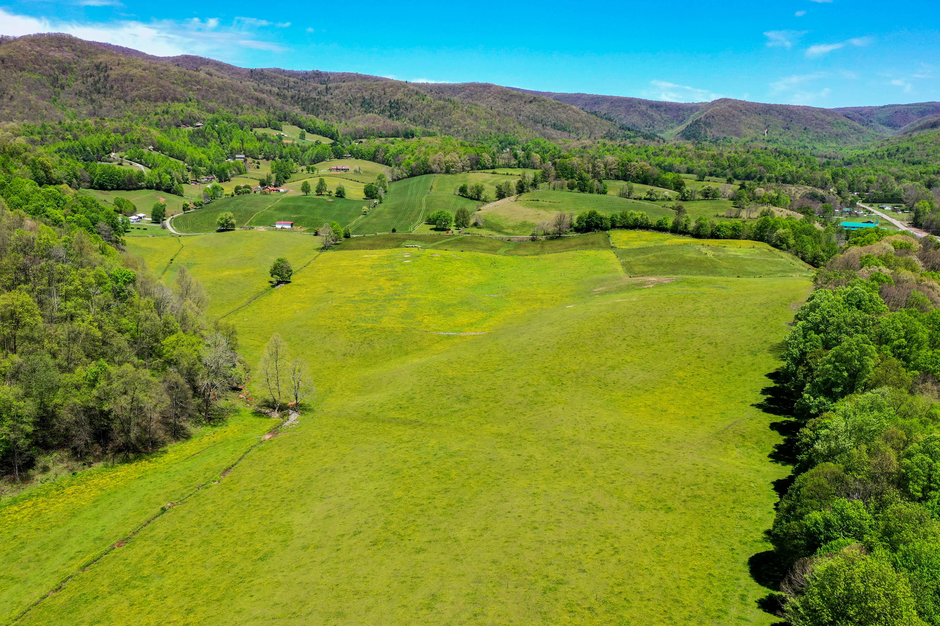 Tbd Cole Hollow Road Elizabethton, TN 37643 - Photo 57 of 57 Cole Hollow Rd-19
