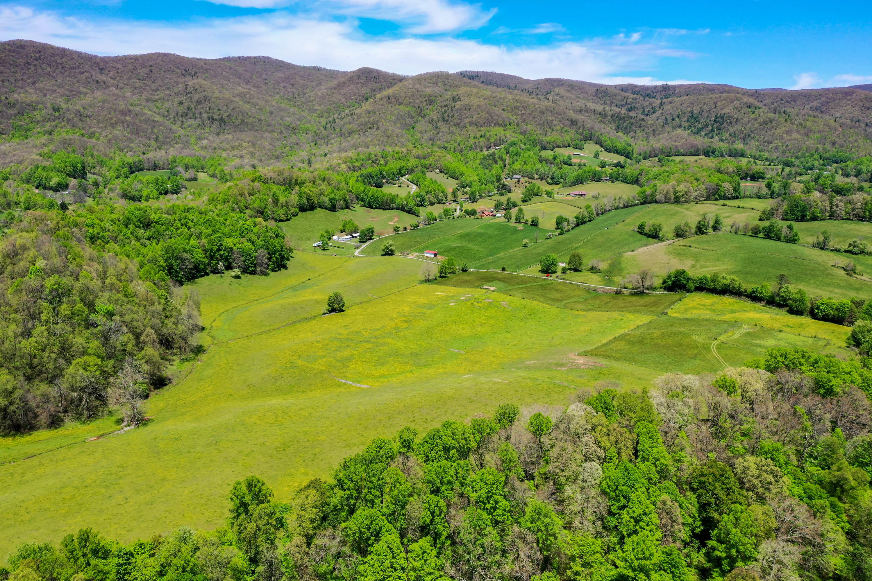 Cole Hollow Rd-20