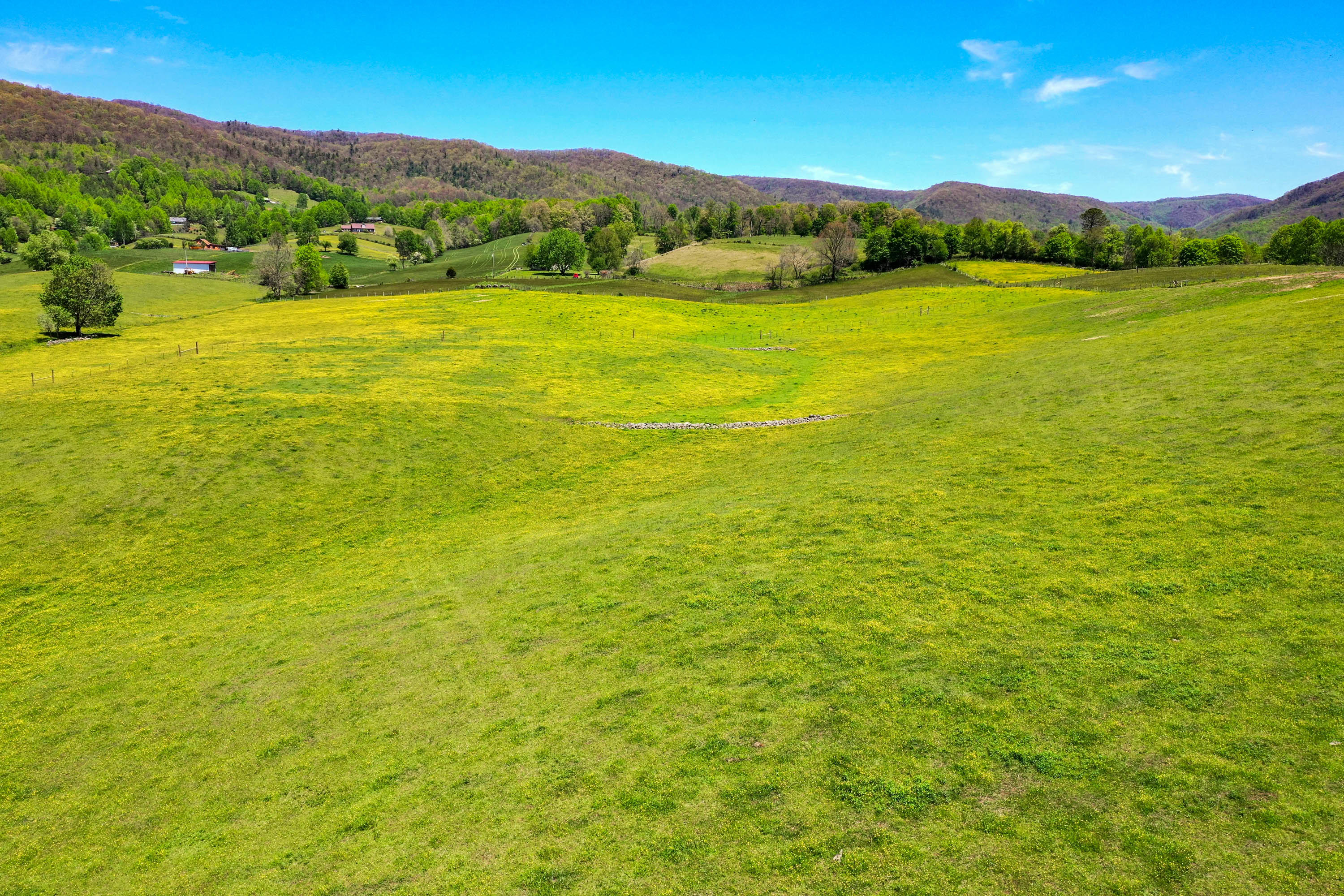 Tbd Cole Hollow Road Elizabethton, TN 37643 - Photo 10 of 57 Cole Hollow Rd-3