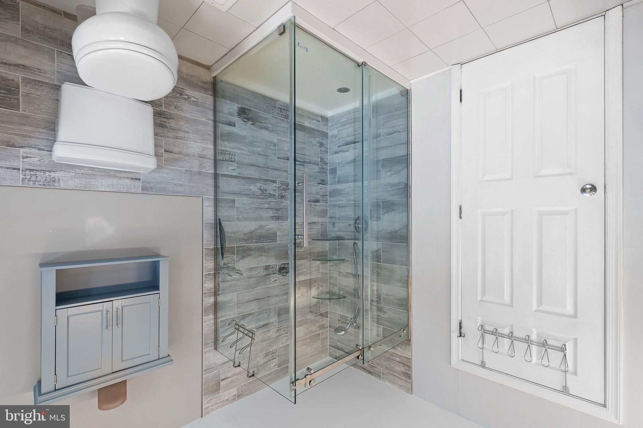 41 Emerald Ridge Drive Bear, DE 19701 - Photo 20 of 38 Primary bath - shower