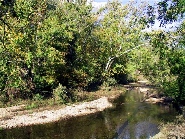 1400 George Boyd Road Ashland City, TN 37015 - Photo 5 of 20 Limestone bottom