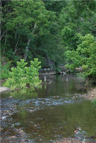 1400 George Boyd Road Ashland City, TN 37015 - Photo 6 of 20 Catch the minnows or just relax