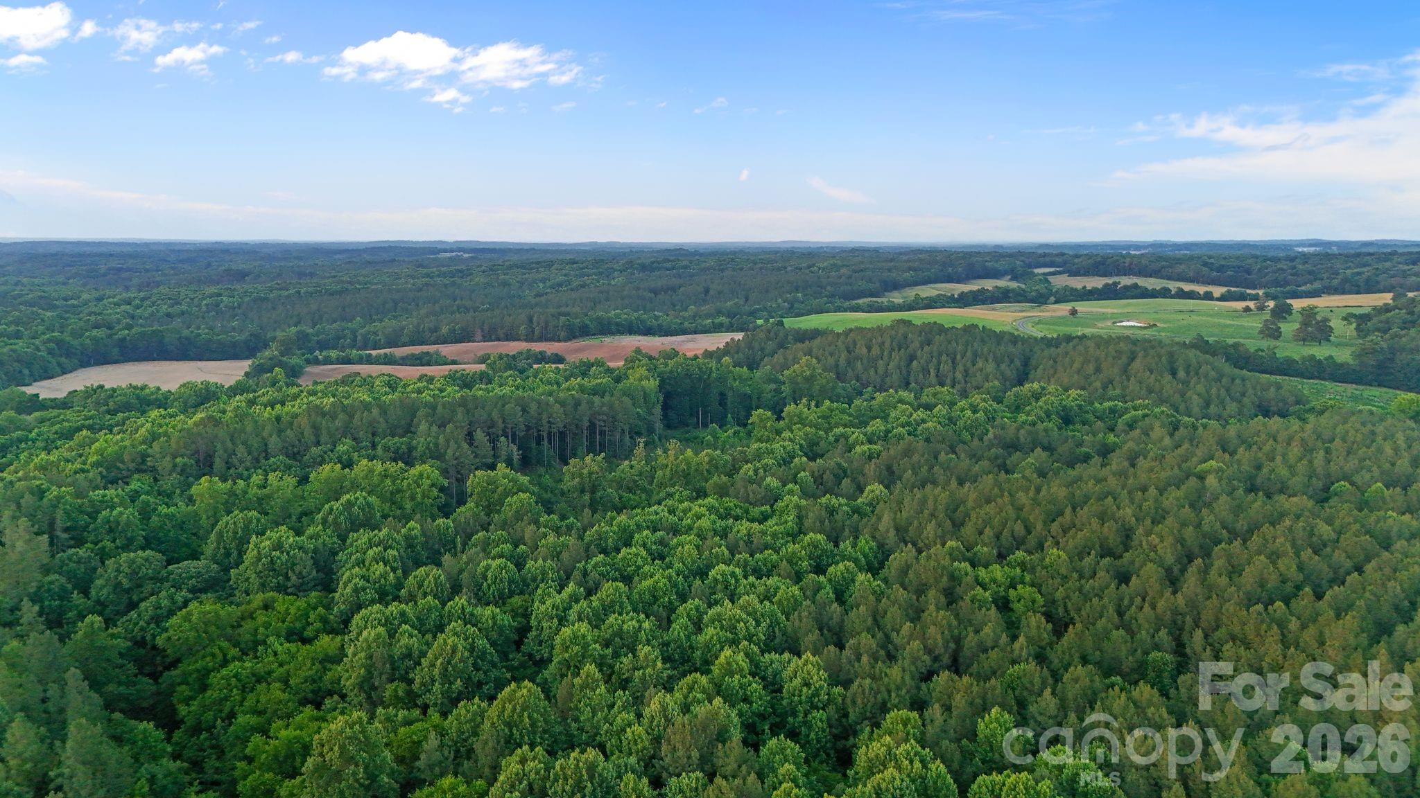 0 Lucy Short Cut Road, Unit 3 Marshville, NC 28103 - Photo 44 of 47