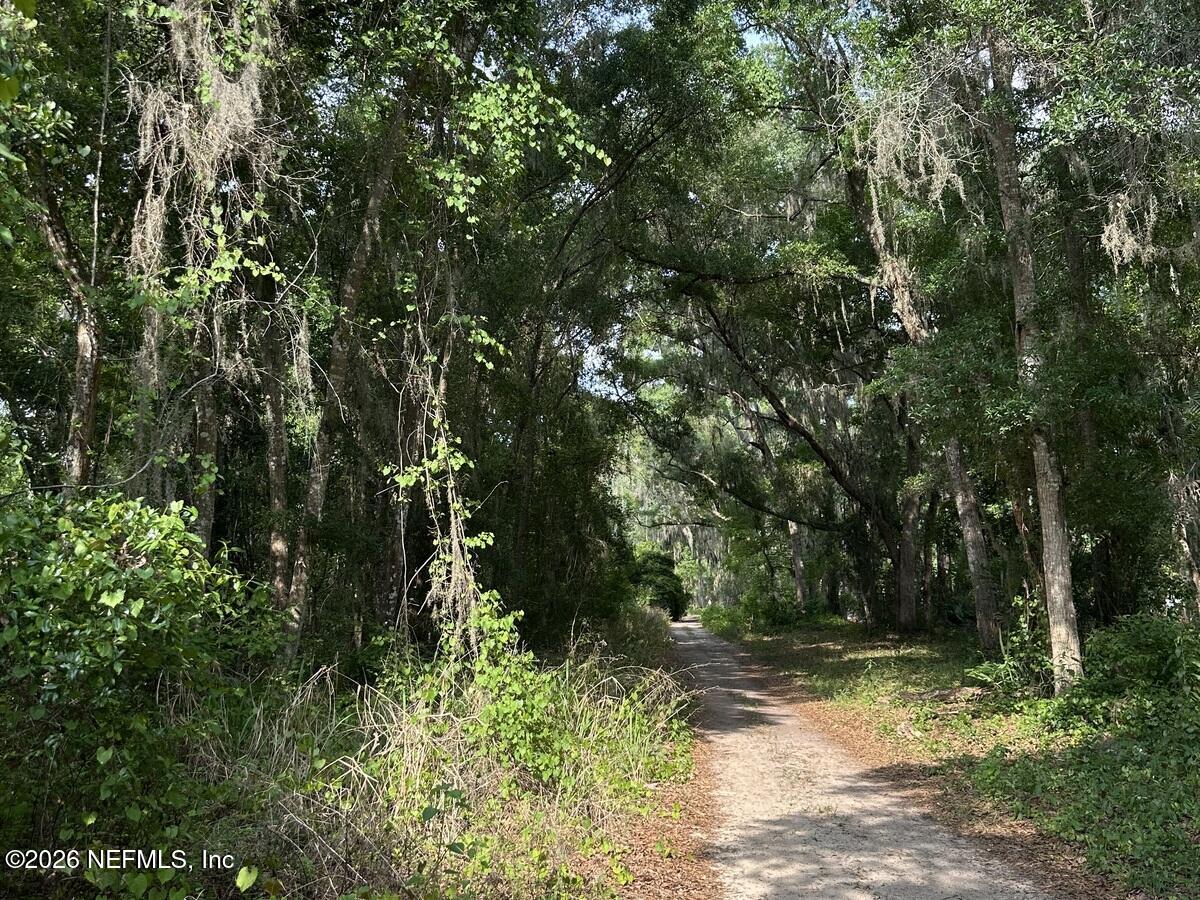 108 Ridgeline Avenue Satsuma, FL 32189 - Photo 1 of 10 a view of a yard with plants and trees
