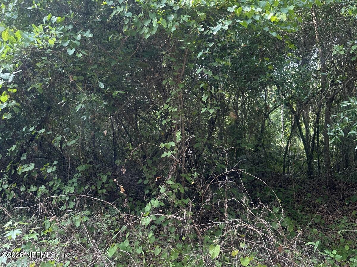 108 Ridgeline Avenue Satsuma, FL 32189 - Photo 4 of 10 a backyard of a house with lots of green space and a fountain