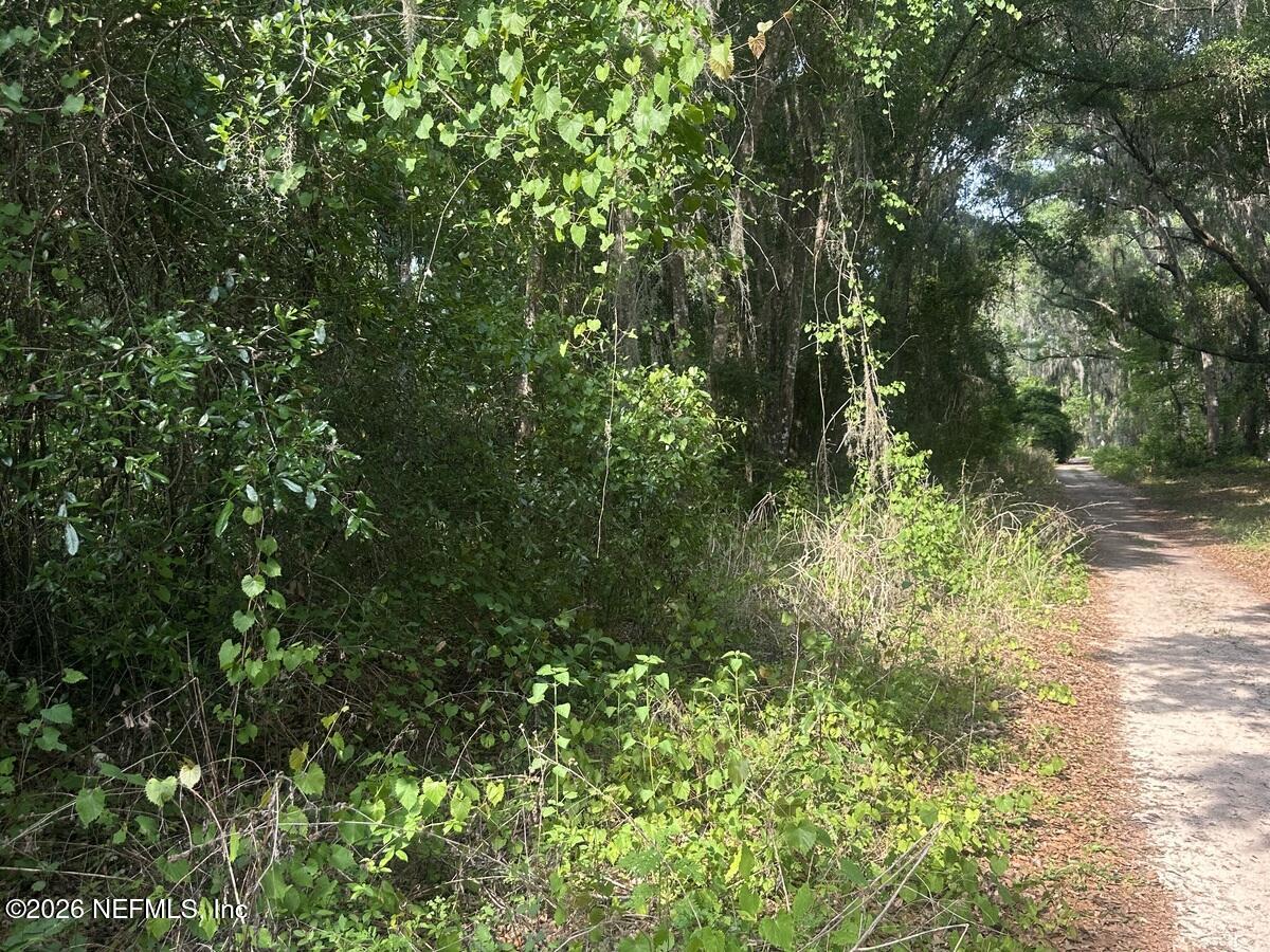 108 Ridgeline Avenue Satsuma, FL 32189 - Photo 5 of 10 a view of a yard with plants and large trees
