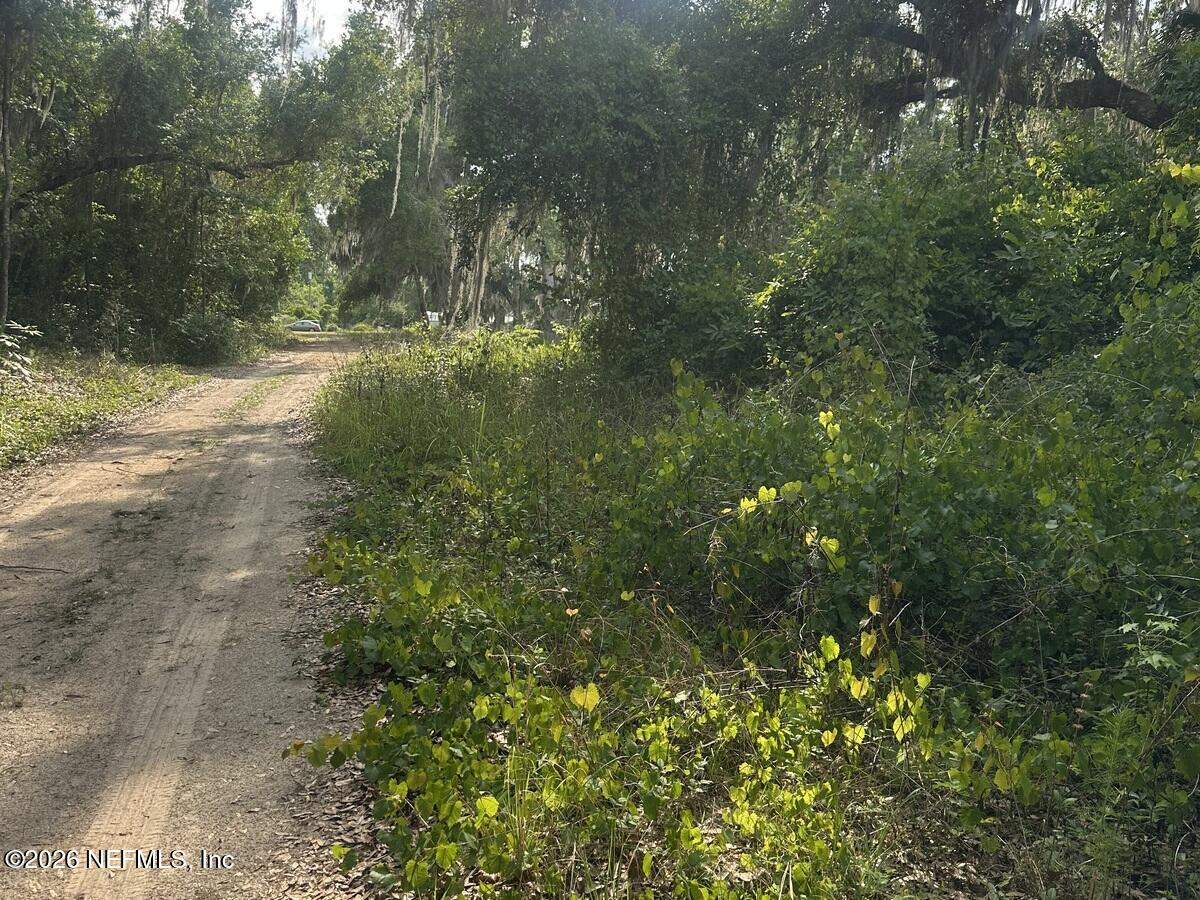 108 Ridgeline Avenue Satsuma, FL 32189 - Photo 6 of 10 a view of a yard with plants and a bench