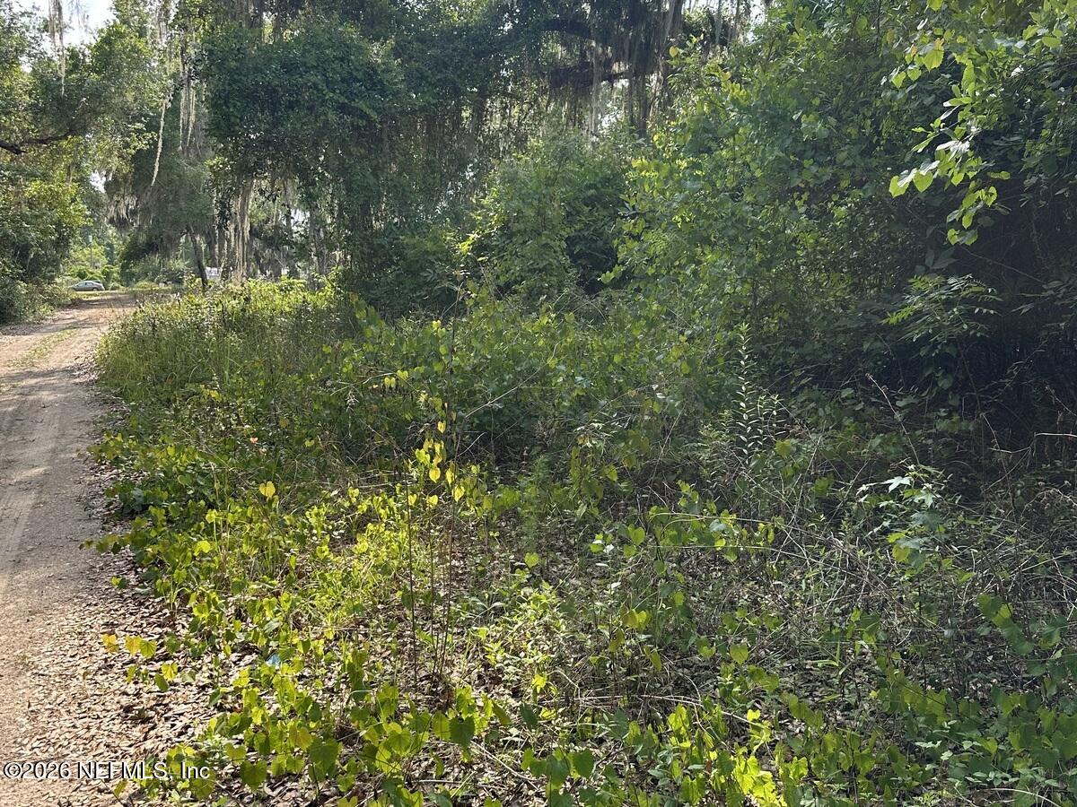 108 Ridgeline Avenue Satsuma, FL 32189 - Photo 9 of 10 a view of a lush green forest