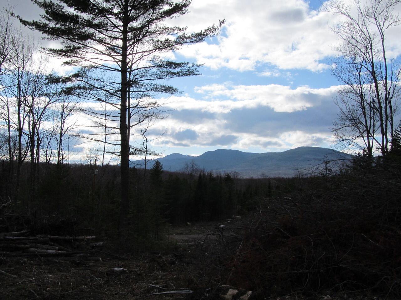 923 Center Hill Road Weld, ME 04285 - Photo 18 of 34 IMG_1076