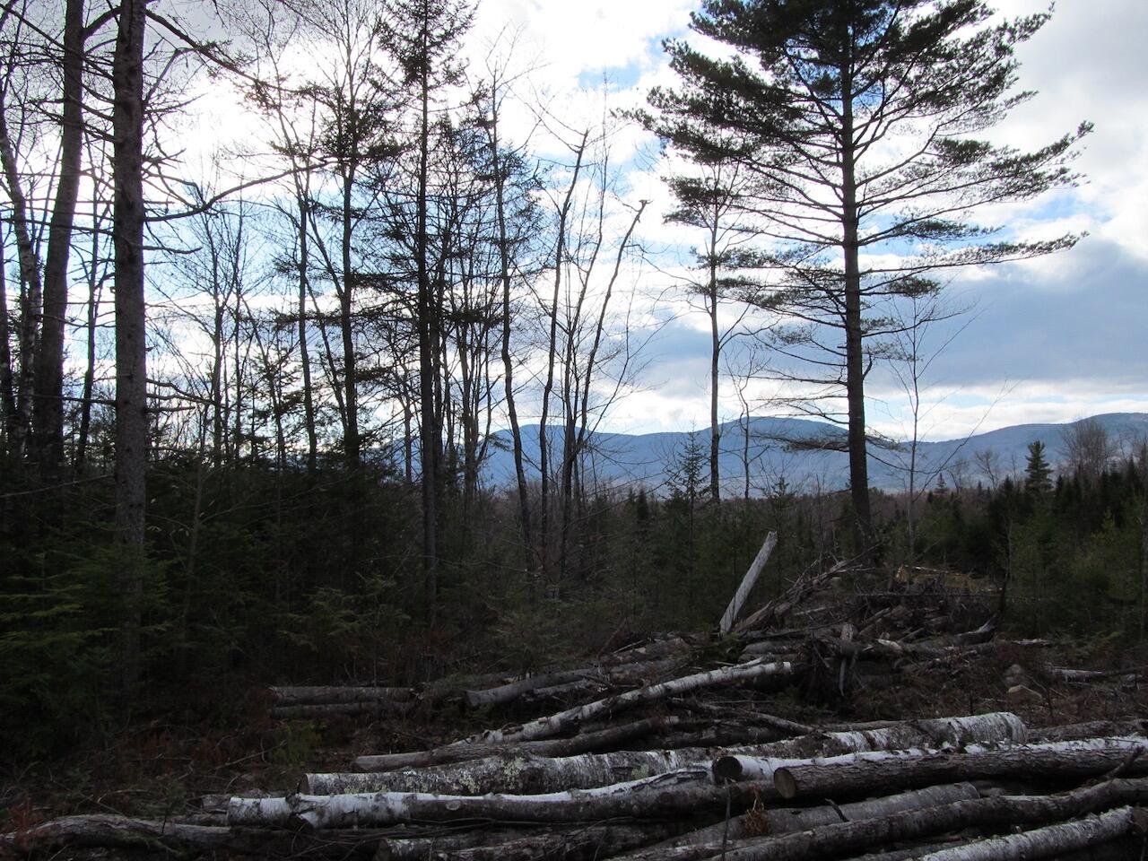 923 Center Hill Road Weld, ME 04285 - Photo 19 of 34 IMG_1074