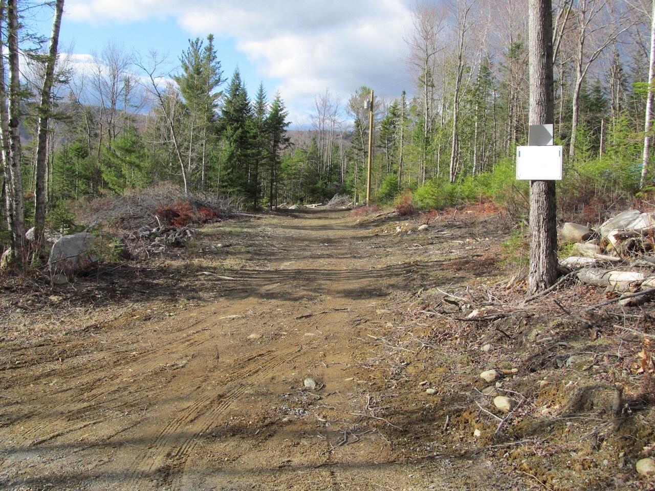 923 Center Hill Road Weld, ME 04285 - Photo 3 of 34 IMG_1090 KRE