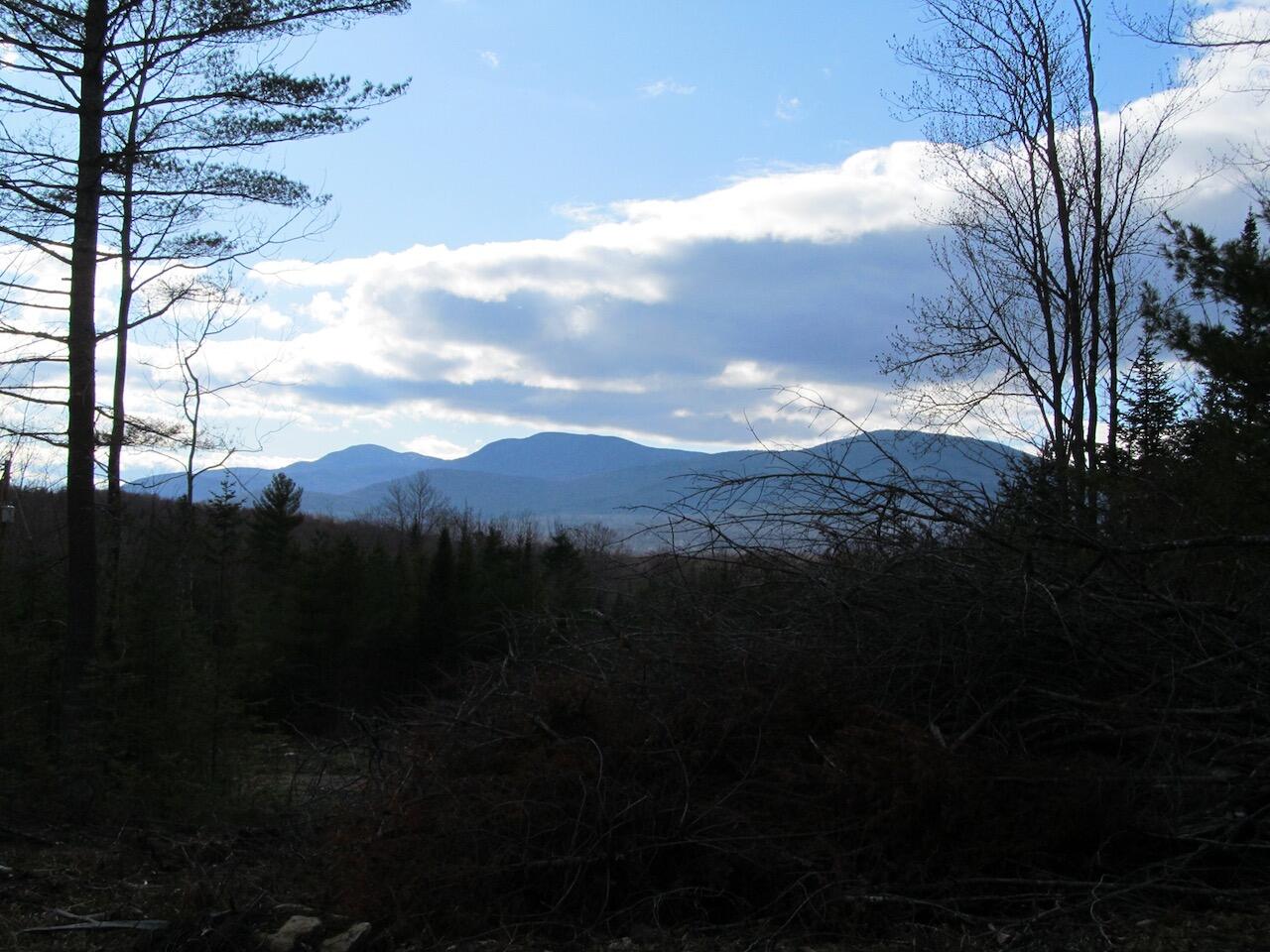923 Center Hill Road Weld, ME 04285 - Photo 7 of 34 IMG_1088